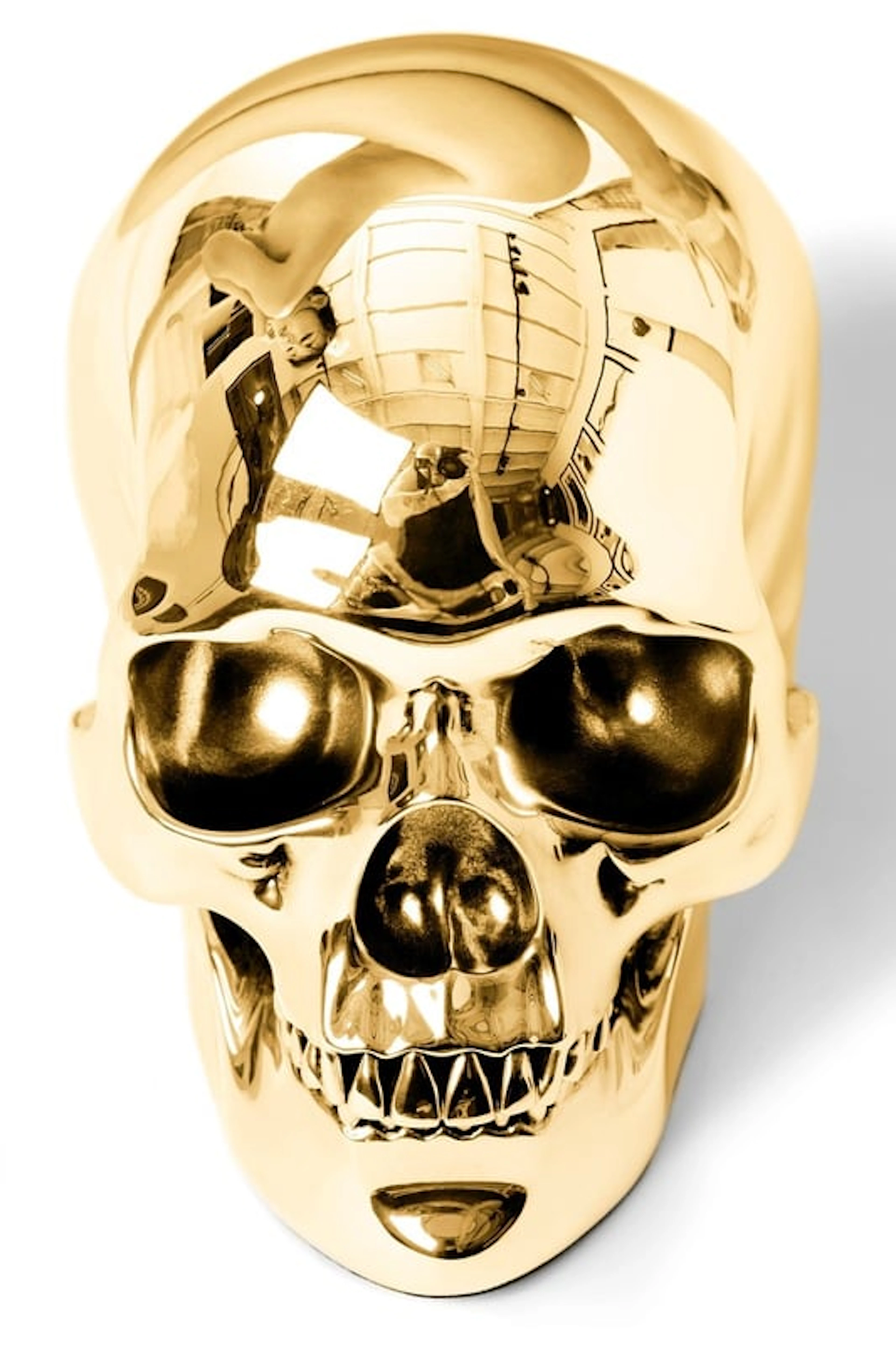Hervé Lewis - Contemporary Photographer - Golden skull 1