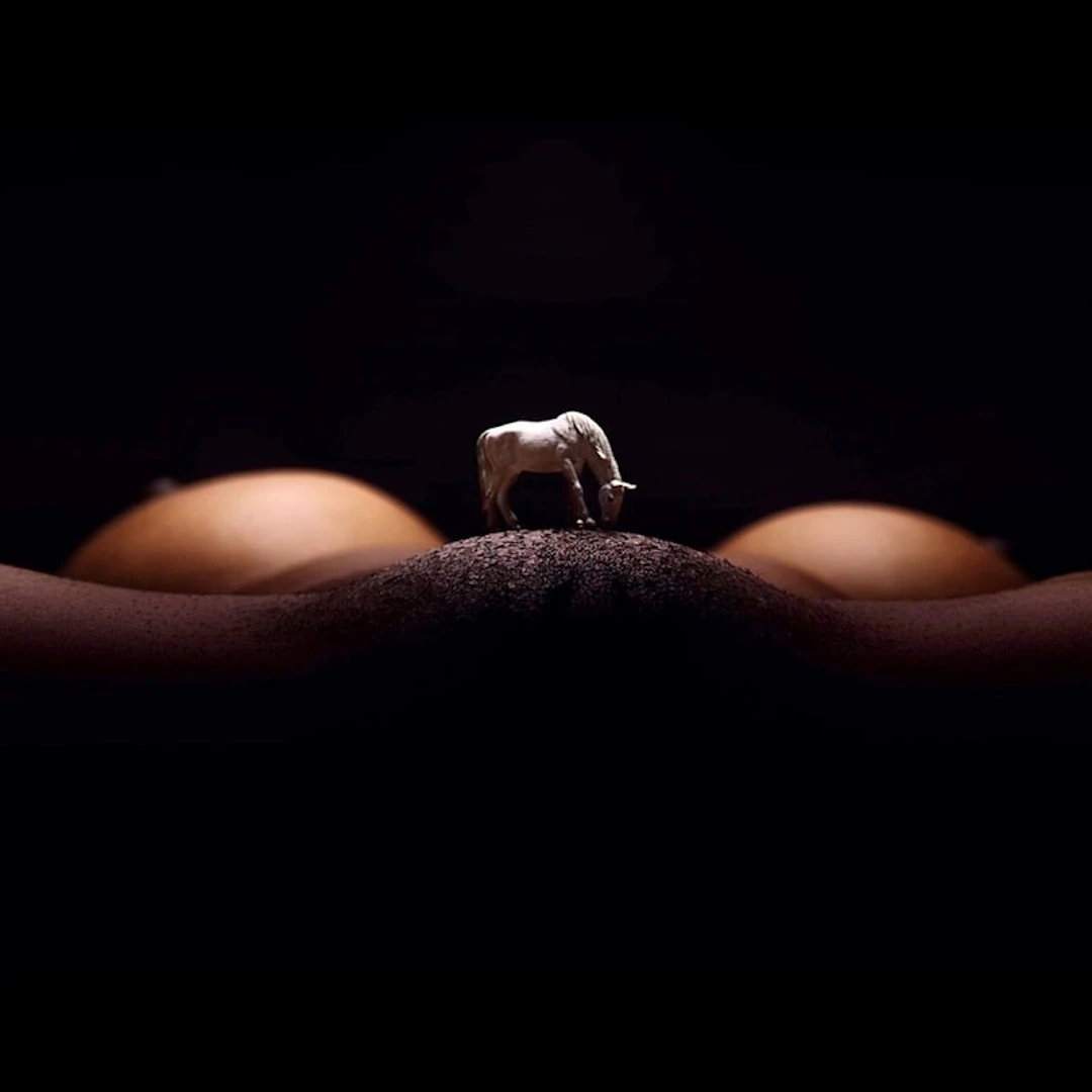 J. Leo - Contemporary Photographer - Curly