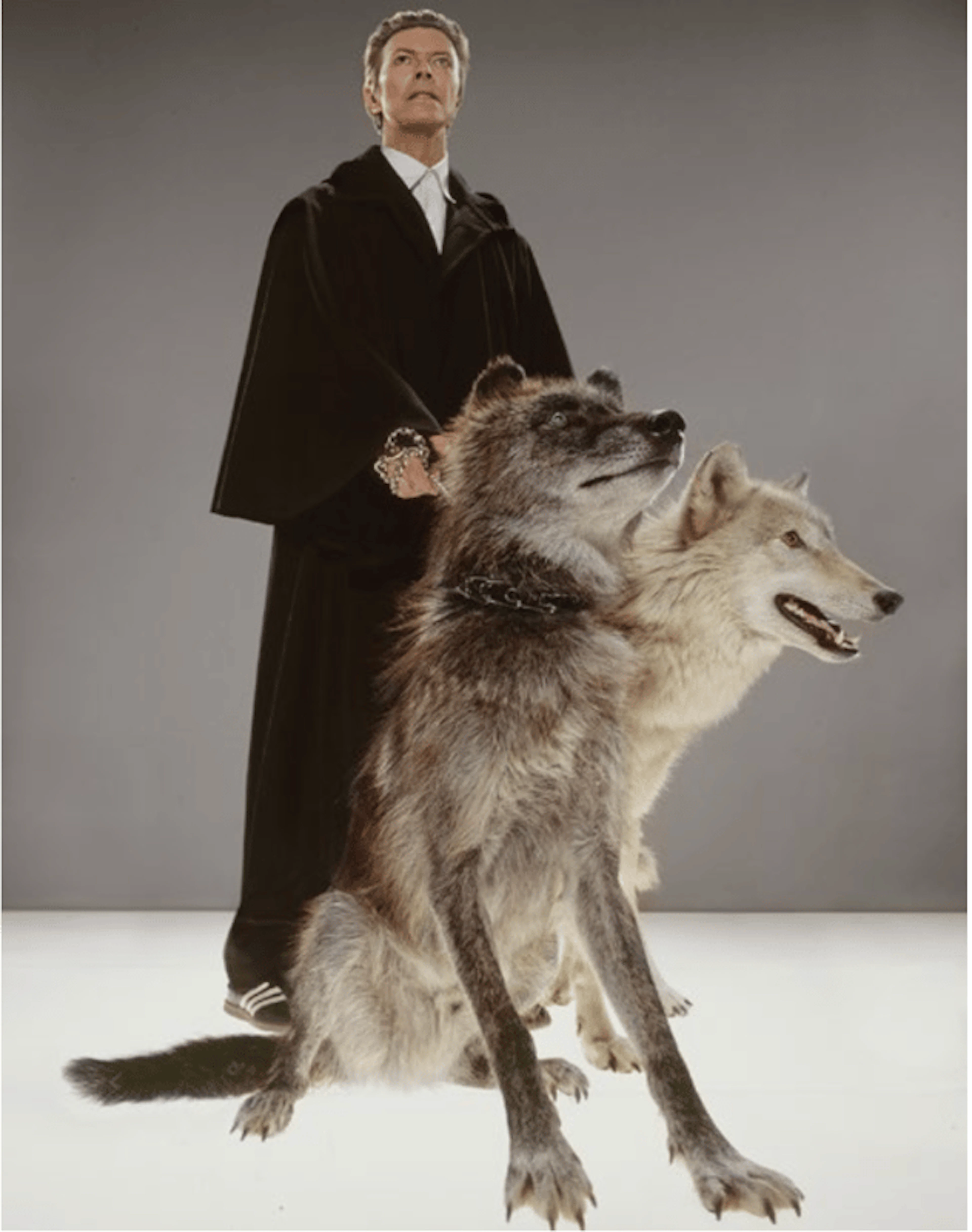 Markus Klinko - Celebrities Photographer - David Bowie : The Pack (medium)