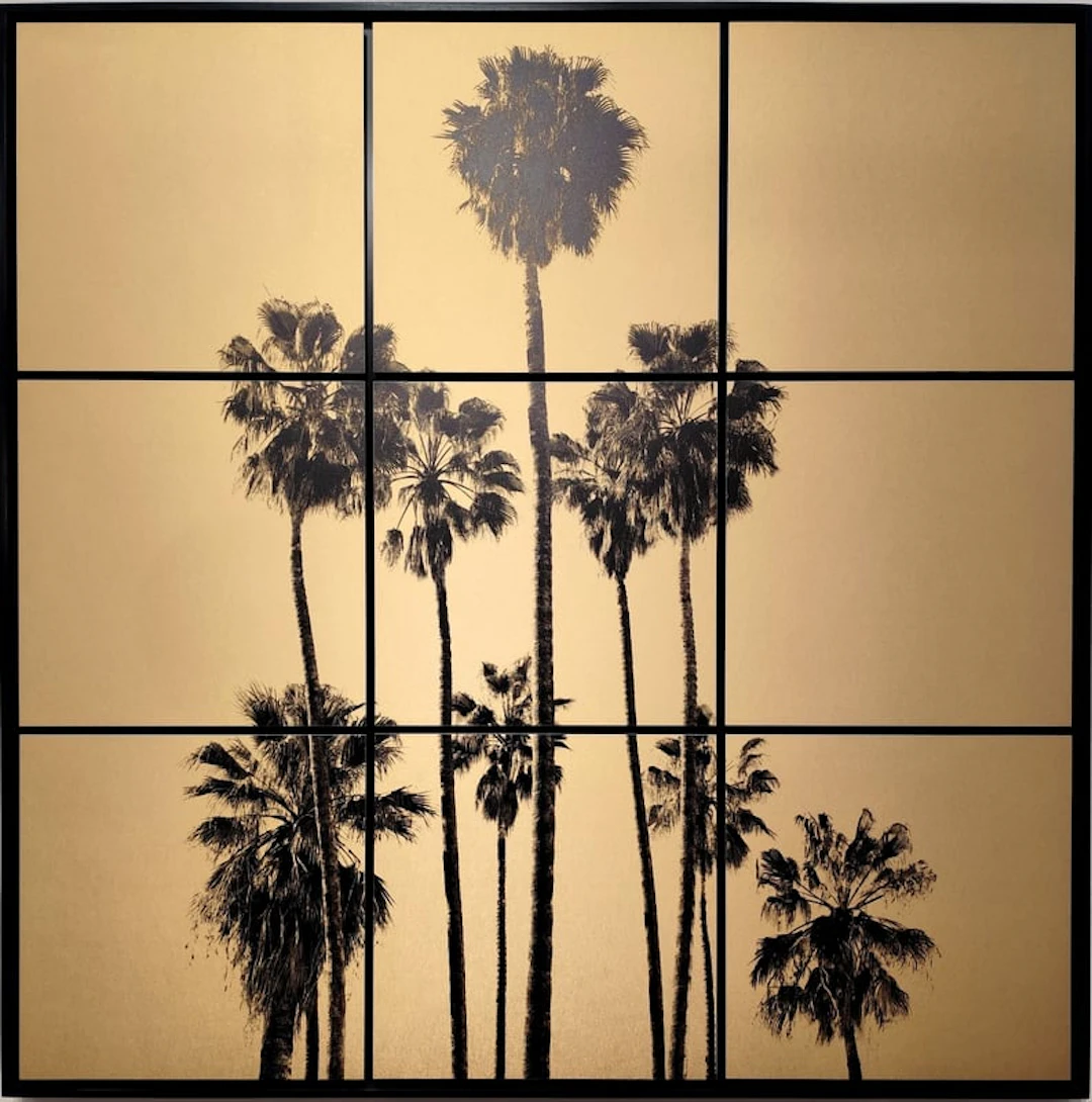 Anne Valverde - Contemporary Photographer - California Dream ( Palmiers