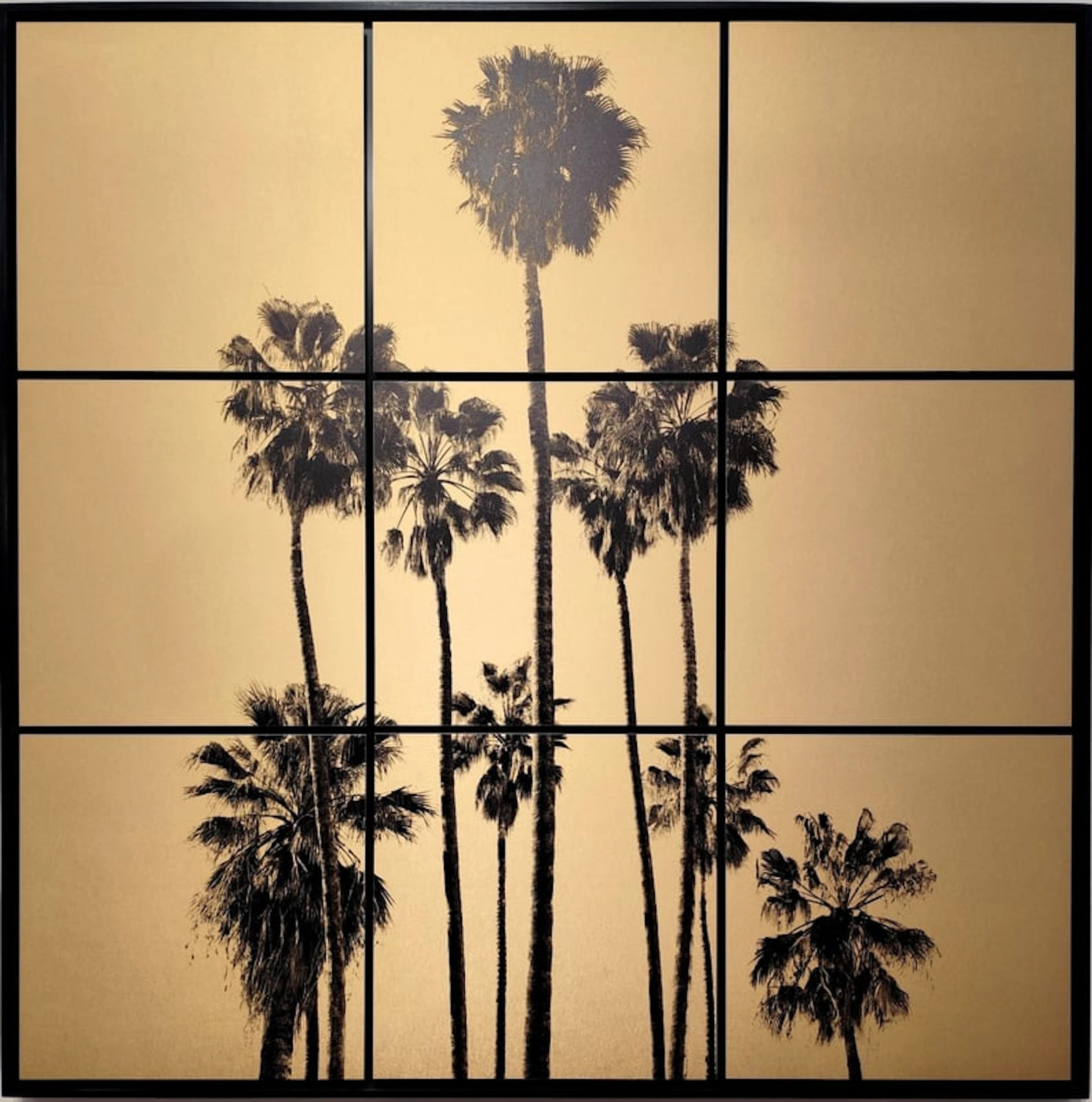 Anne Valverde - Contemporary Photographer - California Dream ( Palmiers