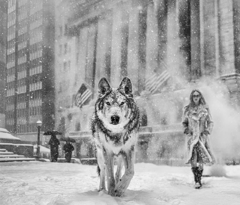 David Yarrow - Contemporary Photographer - Wall Street Stories (B&W)