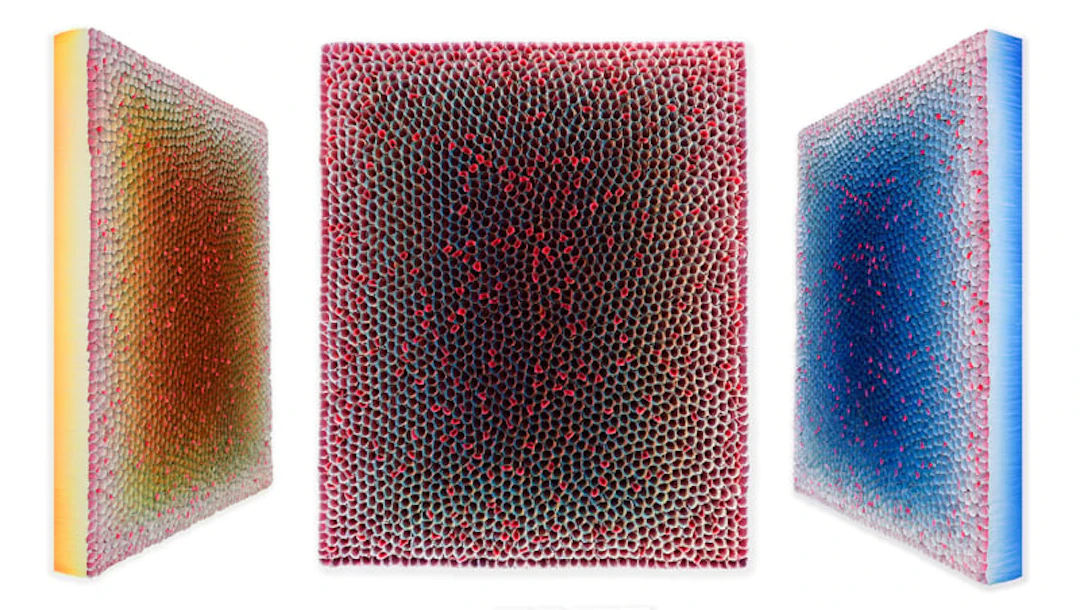 Hong Yi Zhuang - Optical Artist - D2016-065