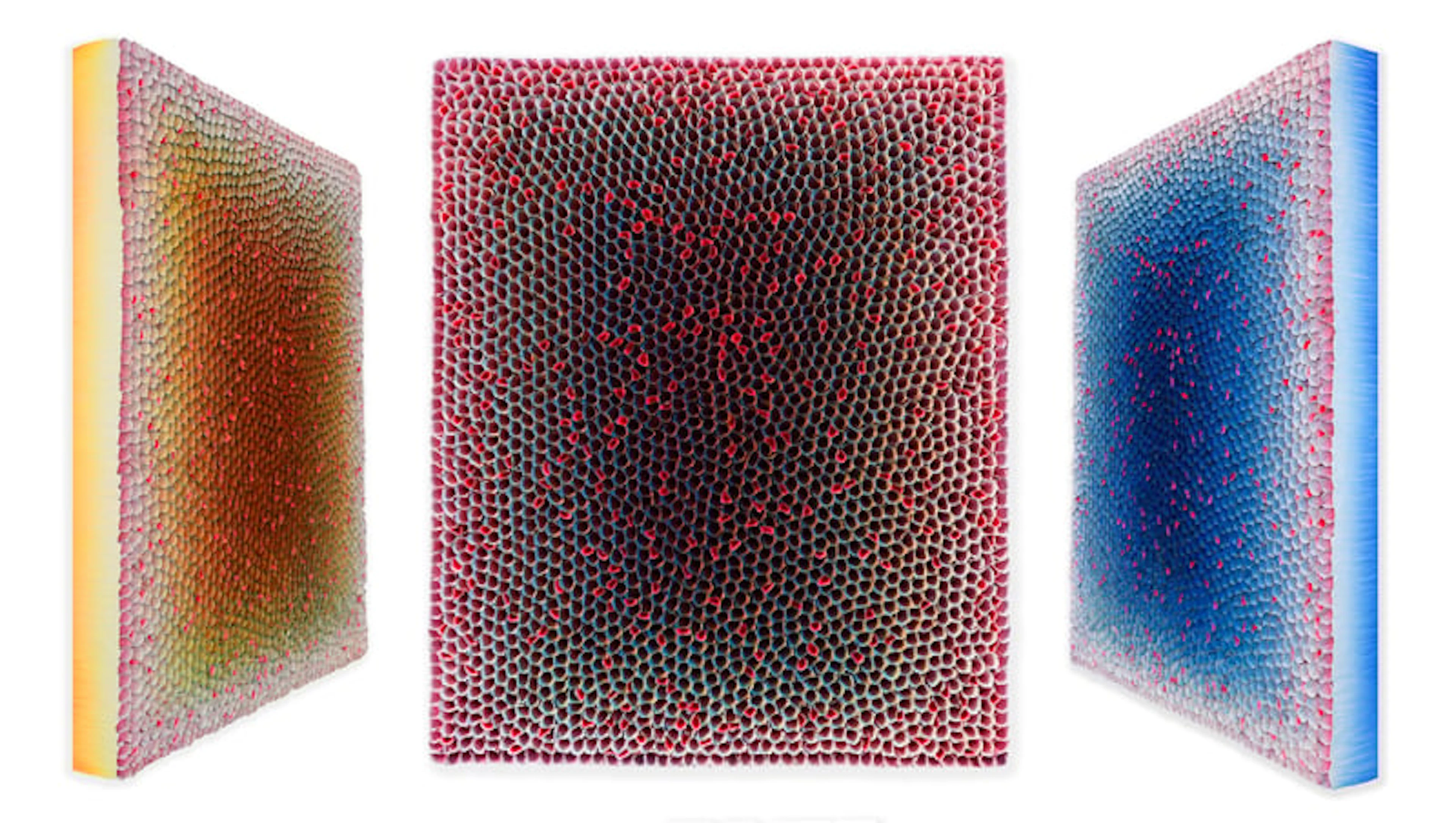 Hong Yi Zhuang - Optical Artist - D2016-065