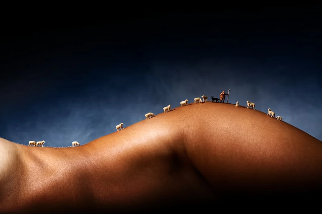 J. Leo - Contemporary Photographer - Les moutons de Valou II