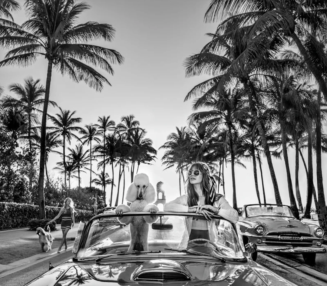 David Yarrow - Contemporary Photographer - Worth Avenue - N&B
