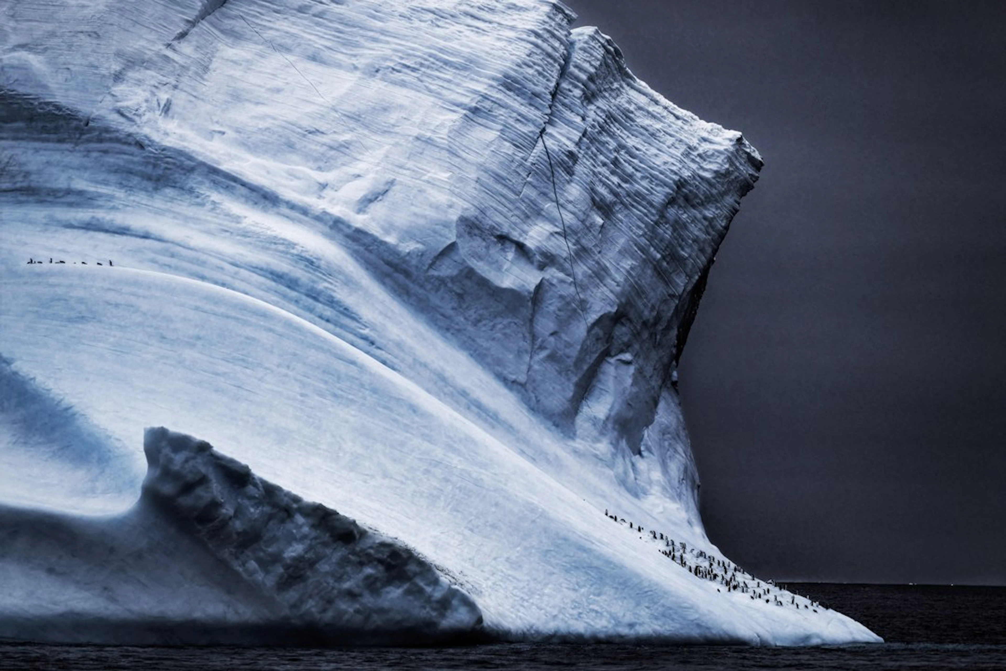 Harry Skeggs - Contemporary Photographer - Between the Cracks (Chinstrap