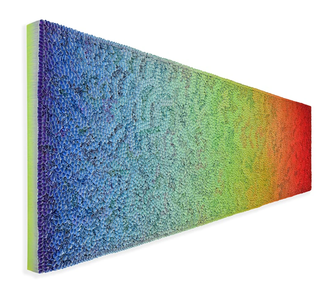 Hong Yi Zhuang - Optical Artist - ZHY-B52239
