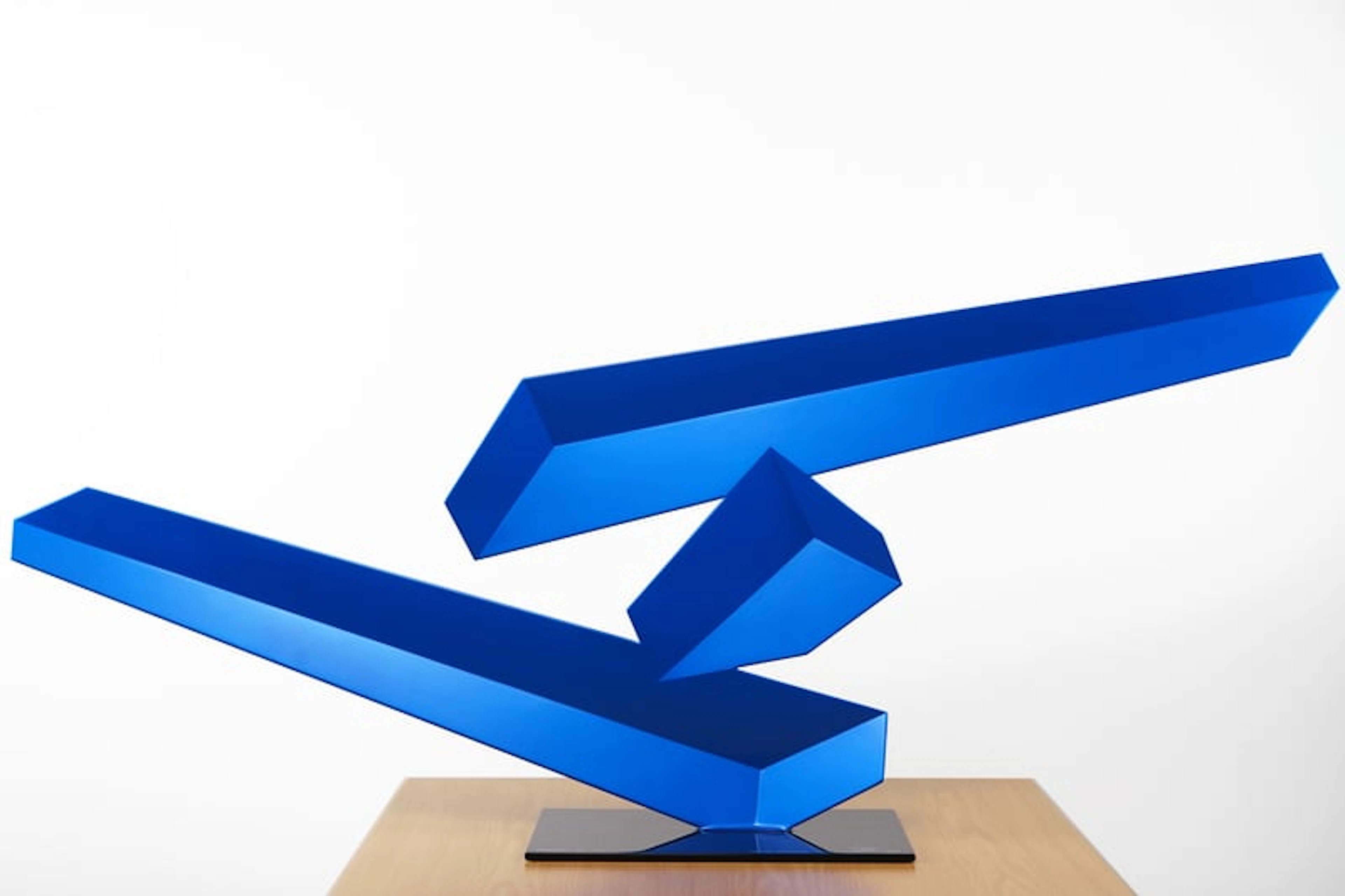 Rafael Barrios - Optical Art Sculptor - Acrobatic F91 - Iridescent blue