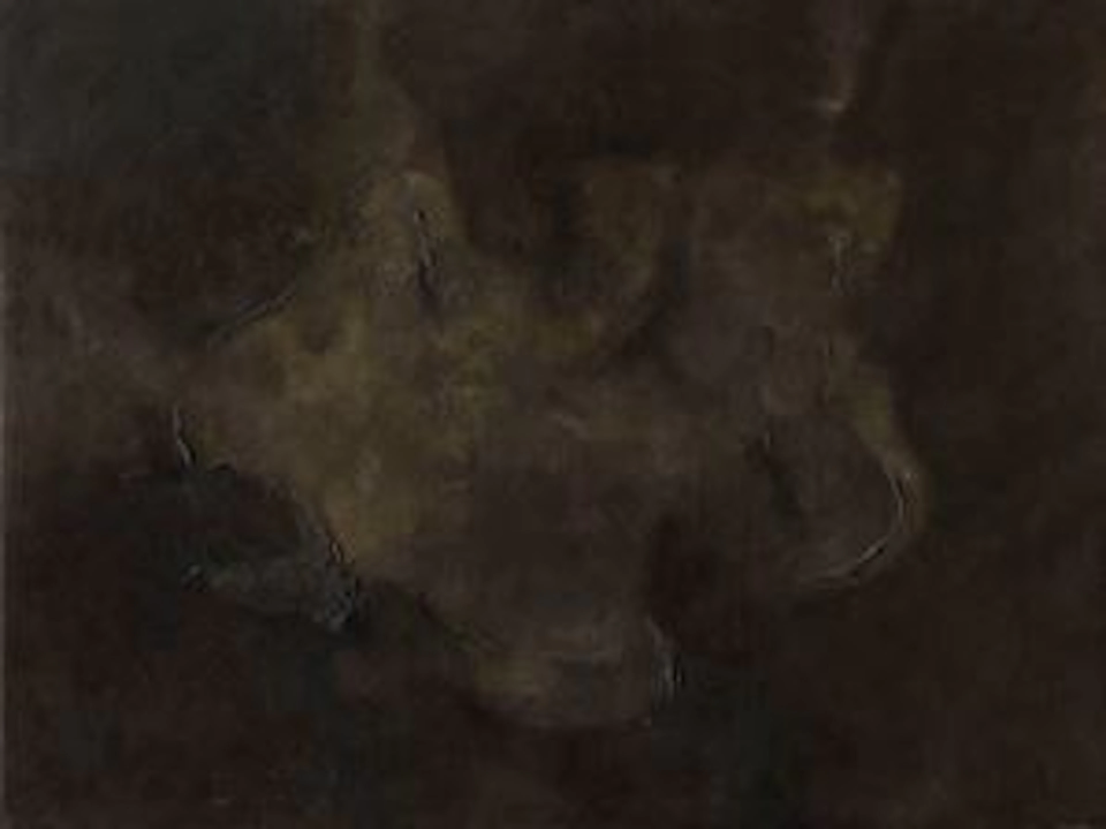 D'Arena Francesco Intuizione , 1959