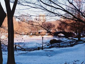 Vanzina Enrico Woody Allen (Manhattan - New York) , 2006