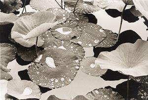 Ventura Fulvio Senza titolo , anni 1970/1980