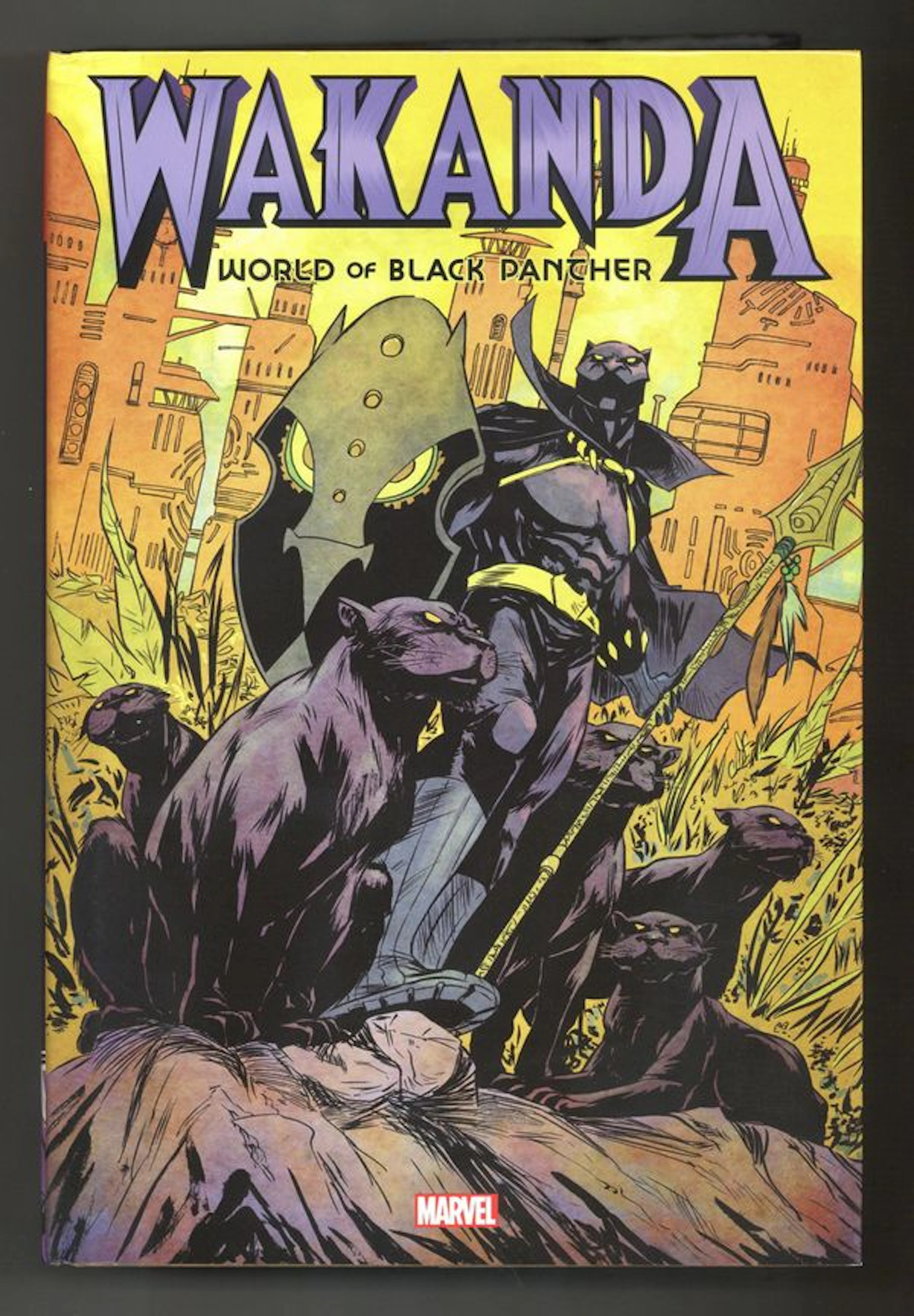 Wakanda World of Black Panther Omnibus HC (2022 Marvel) 1A-1ST FN+ 6.5