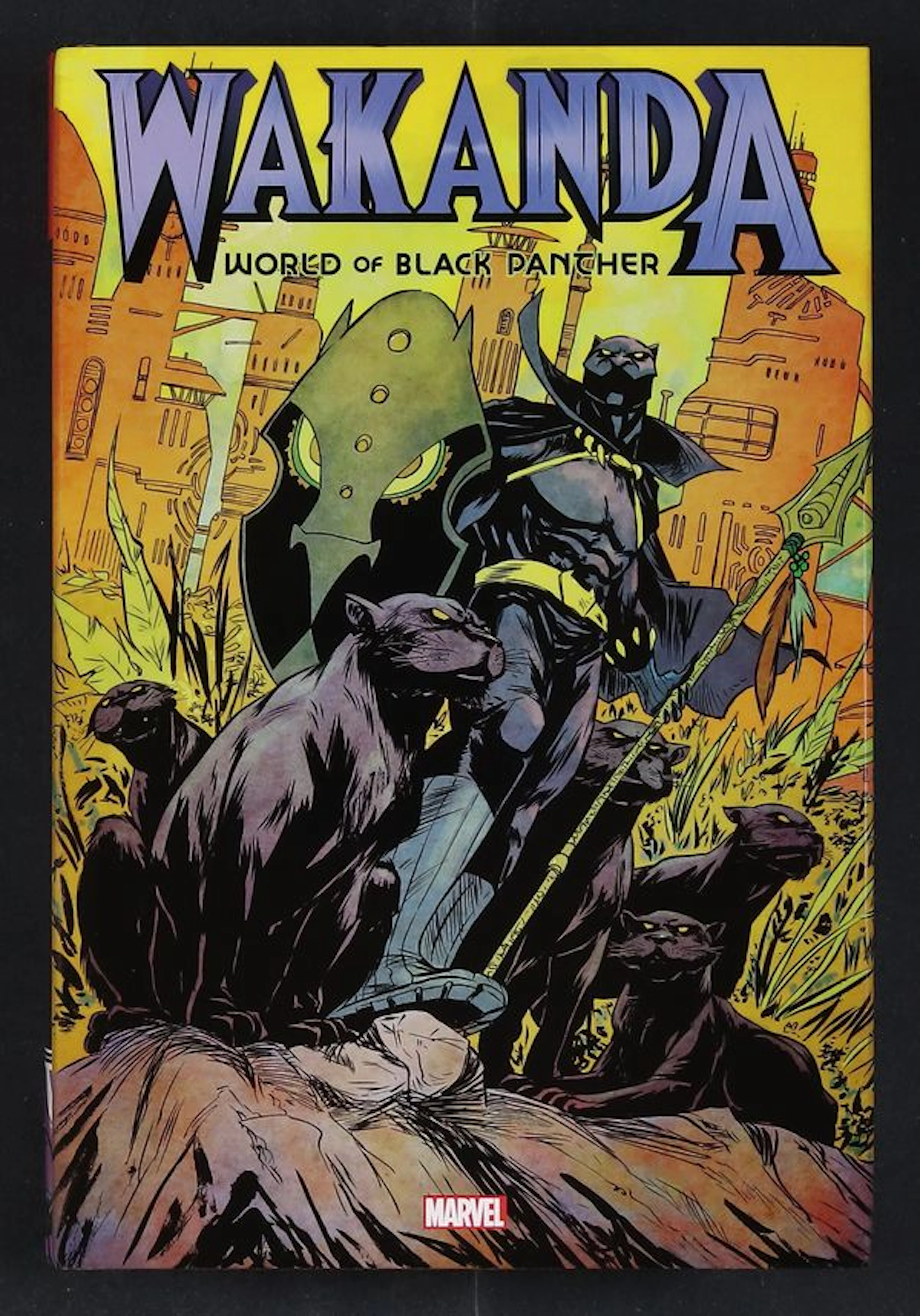 Wakanda World of Black Panther Omnibus HC (2022 Marvel) 1A-1ST NM- 9.2