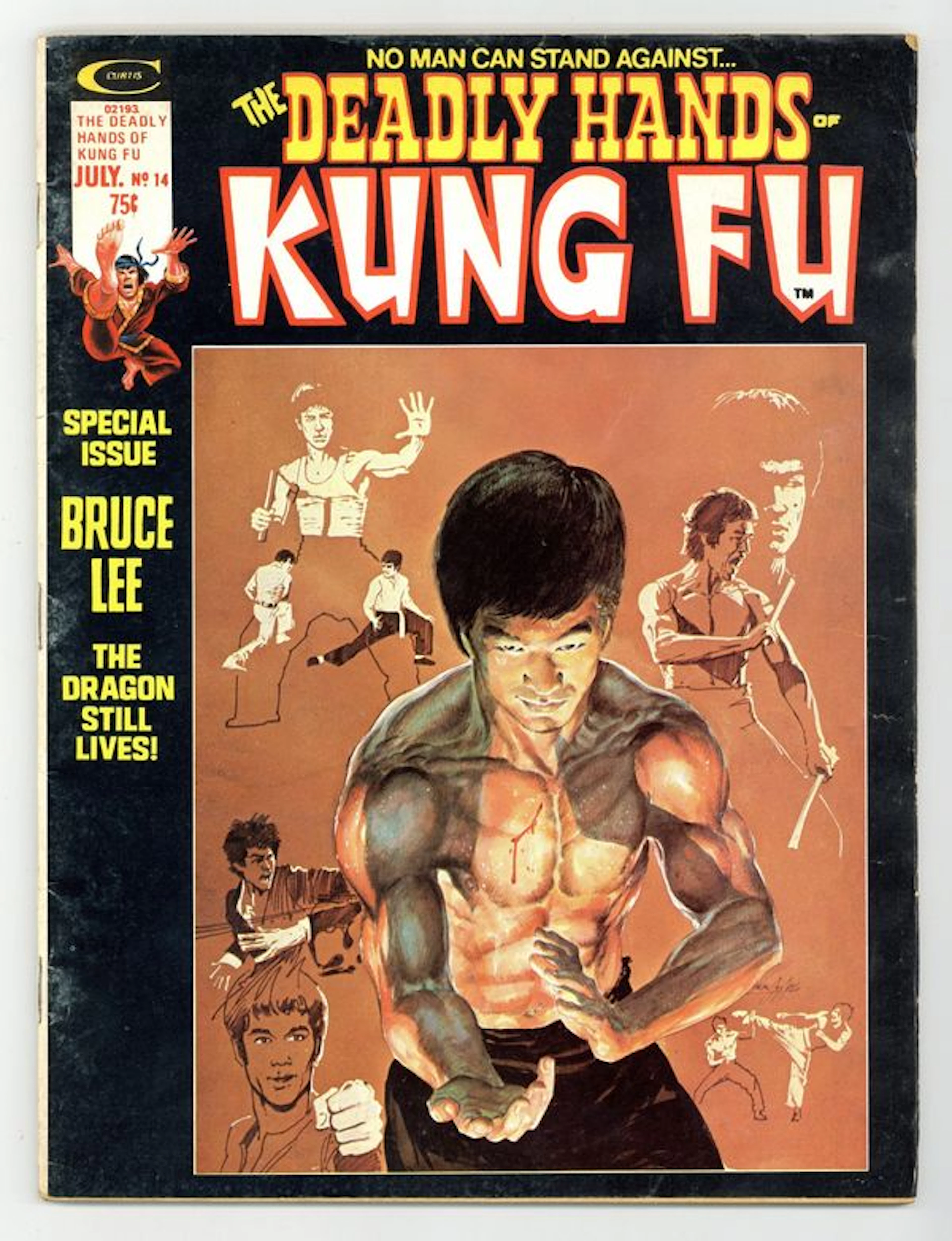 Deadly Hands of Kung Fu (1974 Magazine) 14 VG 4.0