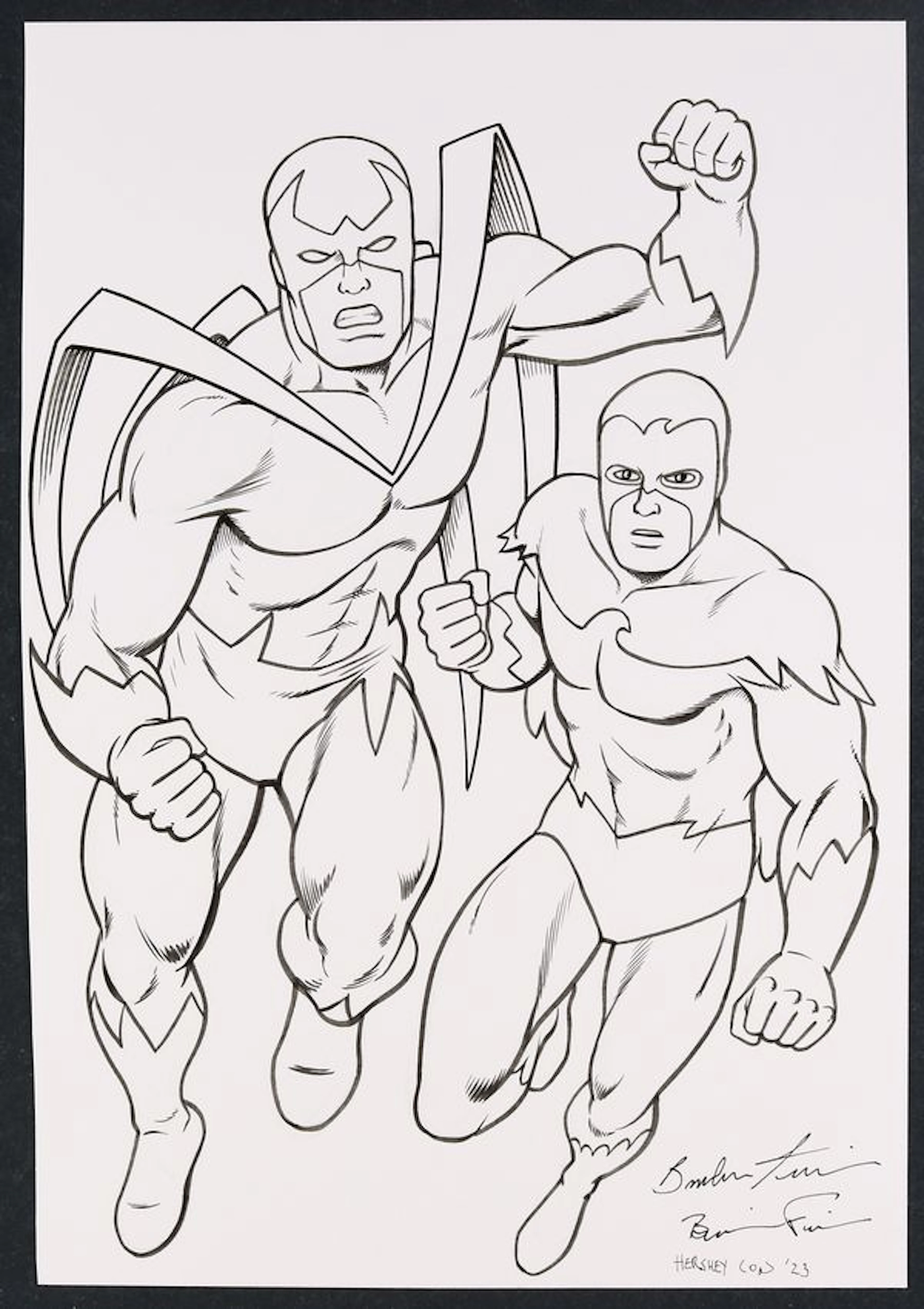 Hawk and Dove Sketch by Brendon and Brian Fraim
