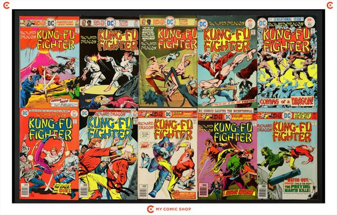 Richard Dragon Kung Fu Fighter Lot of 14