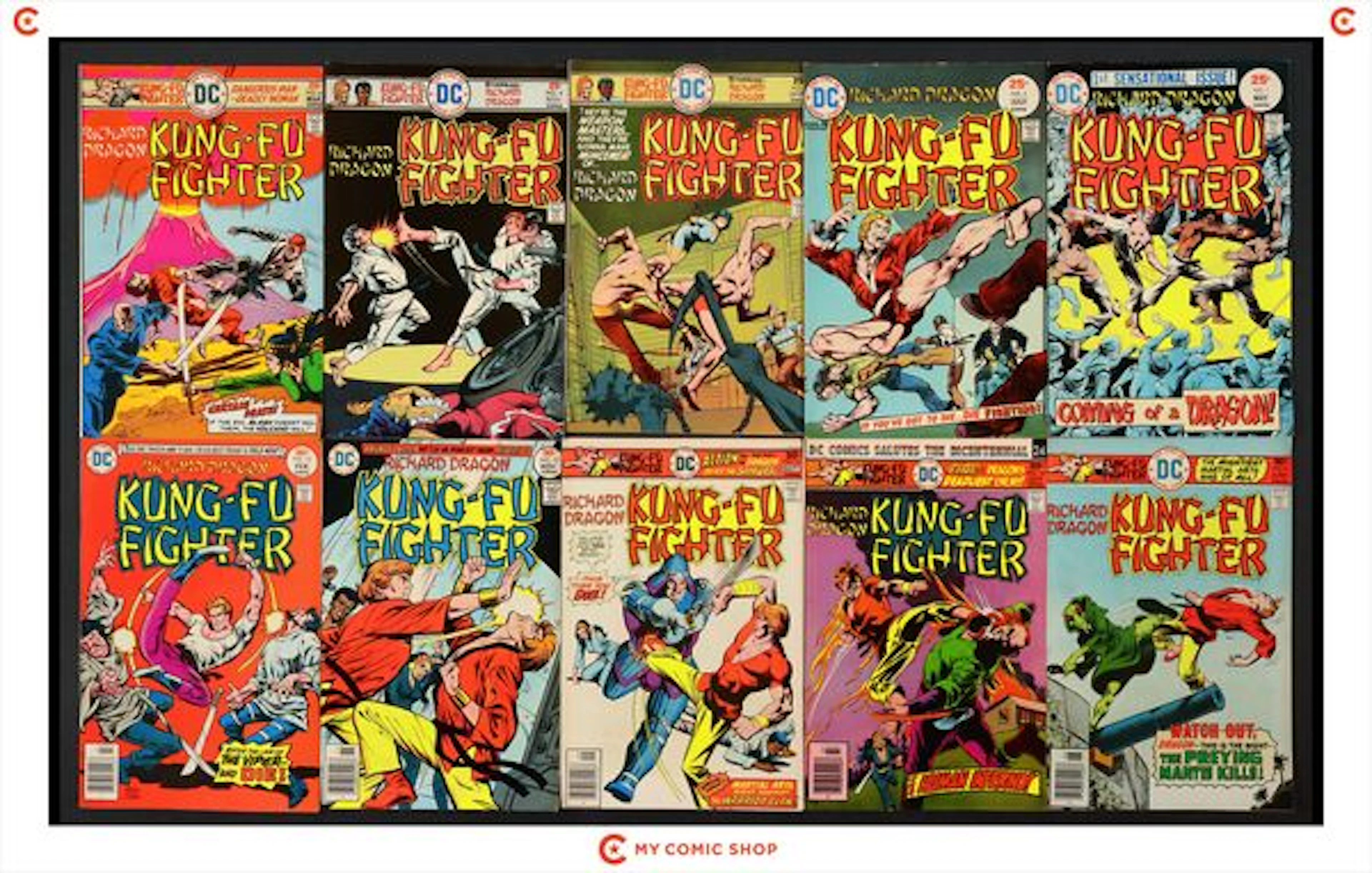 Richard Dragon Kung Fu Fighter Lot of 14