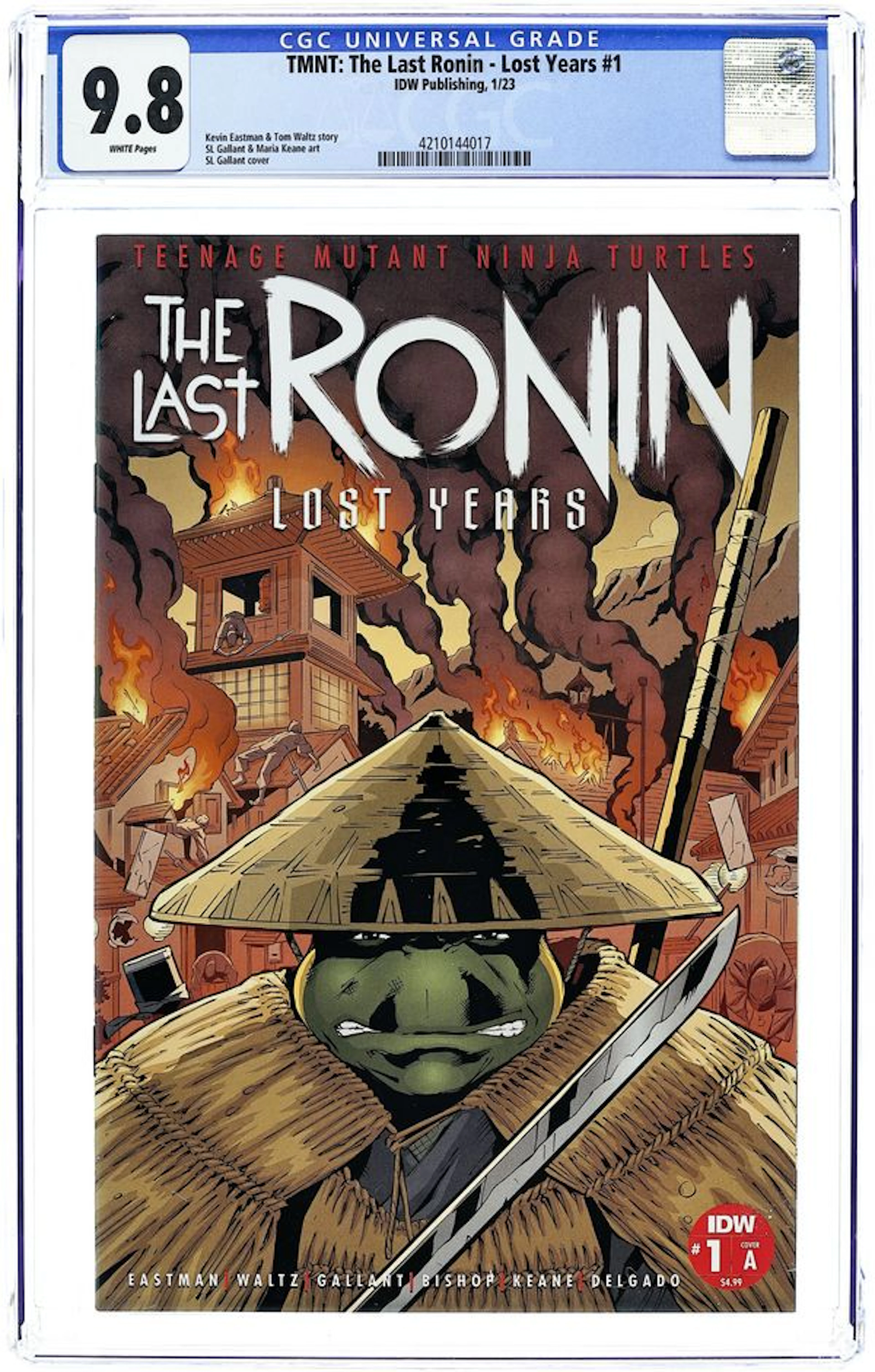Teenage Mutant Ninja Turtles the Last Ronin the Lost Years (2022 IDW)