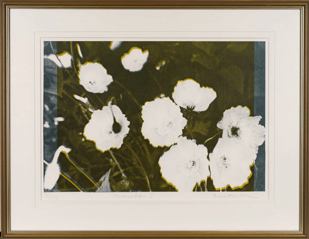 BRITT HILLBOM. Offsettryck, "Observation 1", Numrerad: 73/252, Signerad.
