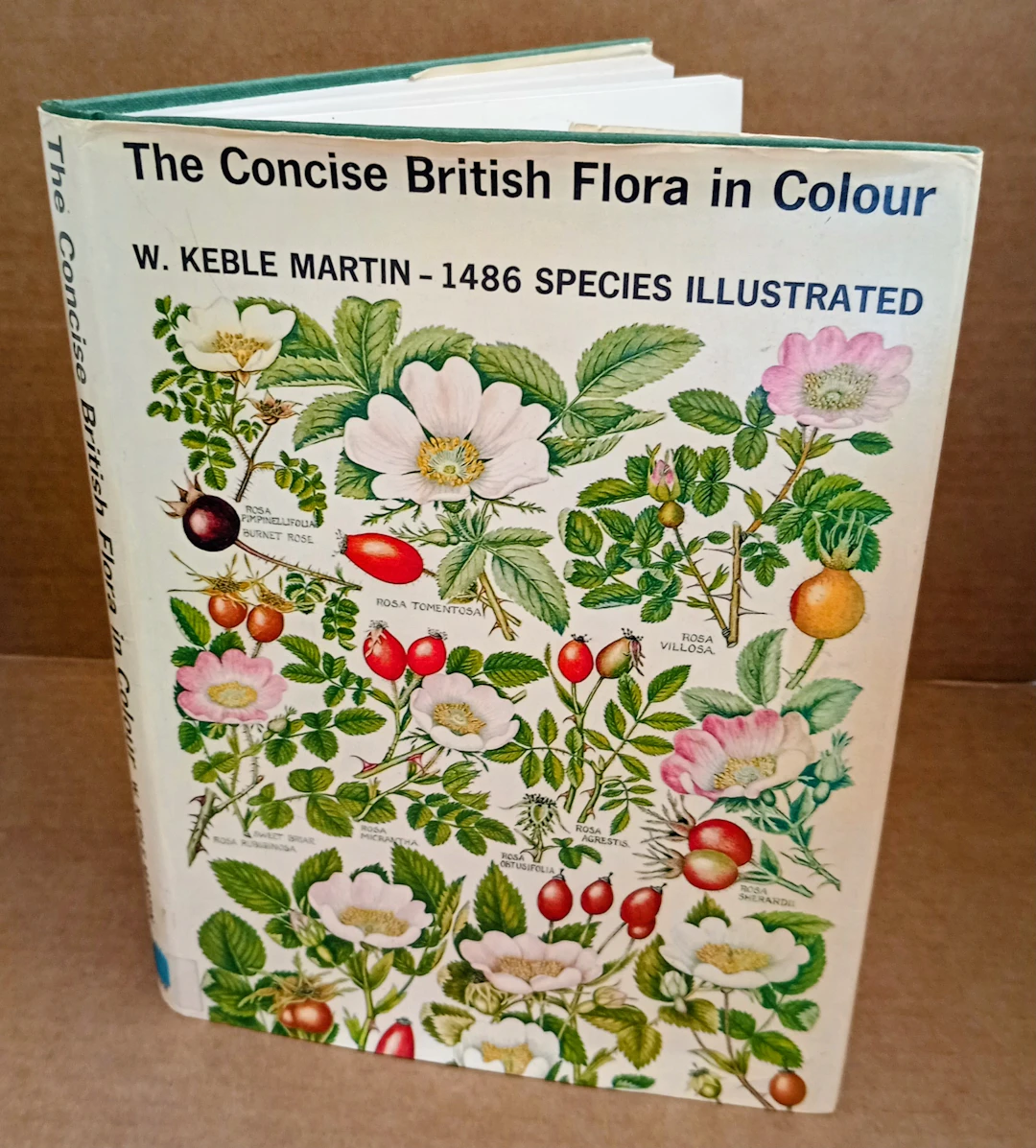 [First Edition] The Concise British Flora in Colour Keble Martin