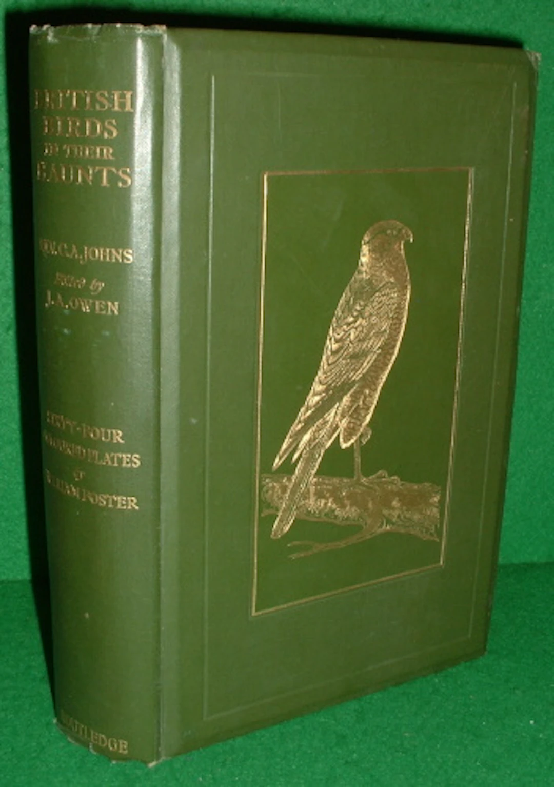 [First Edition] BRITISH BIRDS IN THEIR HAUNTS [ Revised Edition 1909 ] JOHNS