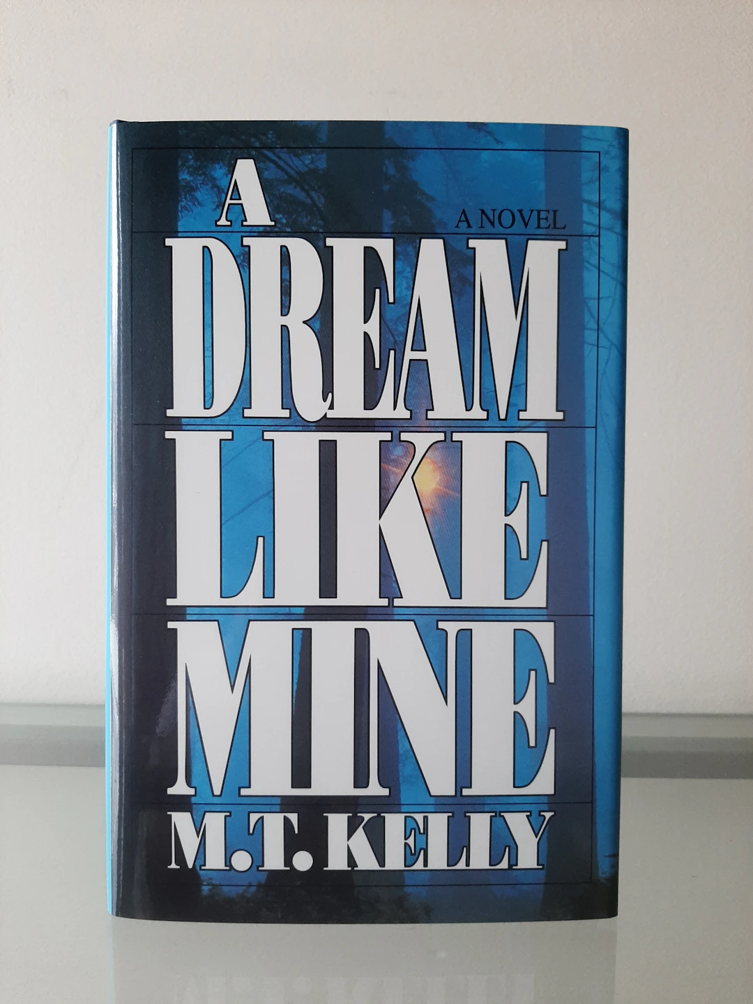 [Signed] [First Edition] A Dream Like Mine M.T. Kelly [Used - Fine] [Hardcover]