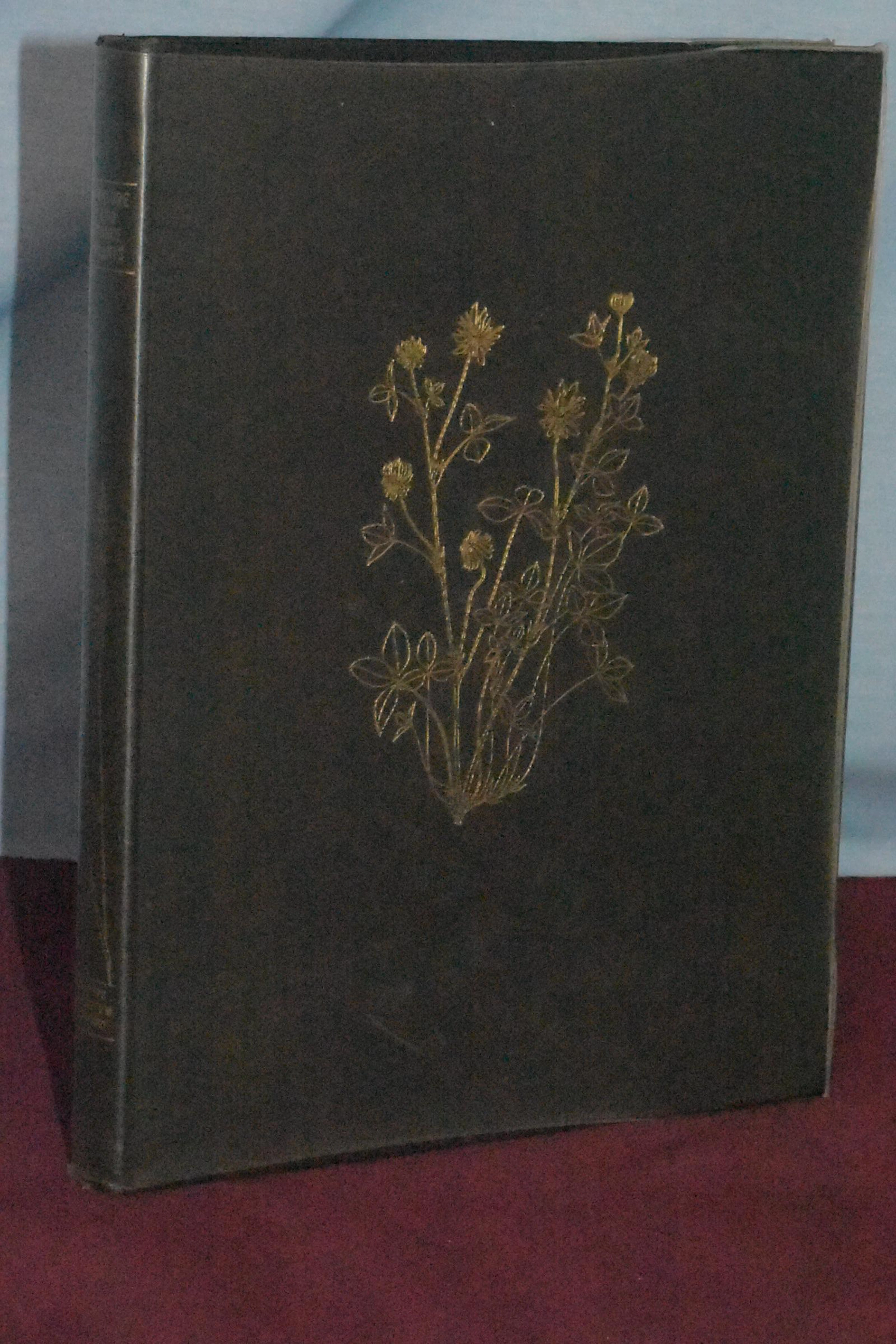 [First Edition] Pasture and Range Plants Phillips...