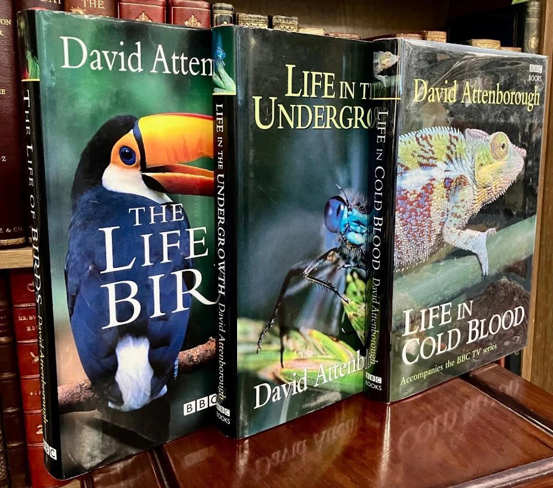 [First Edition] THE LIFE OF BIRDS