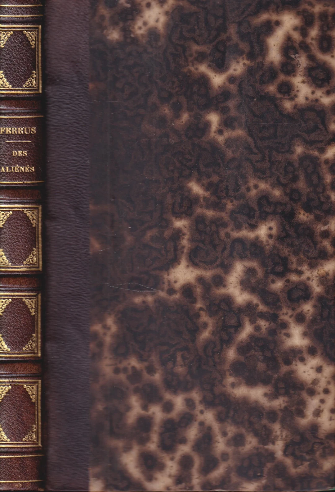 [First Edition] Des Aliénés