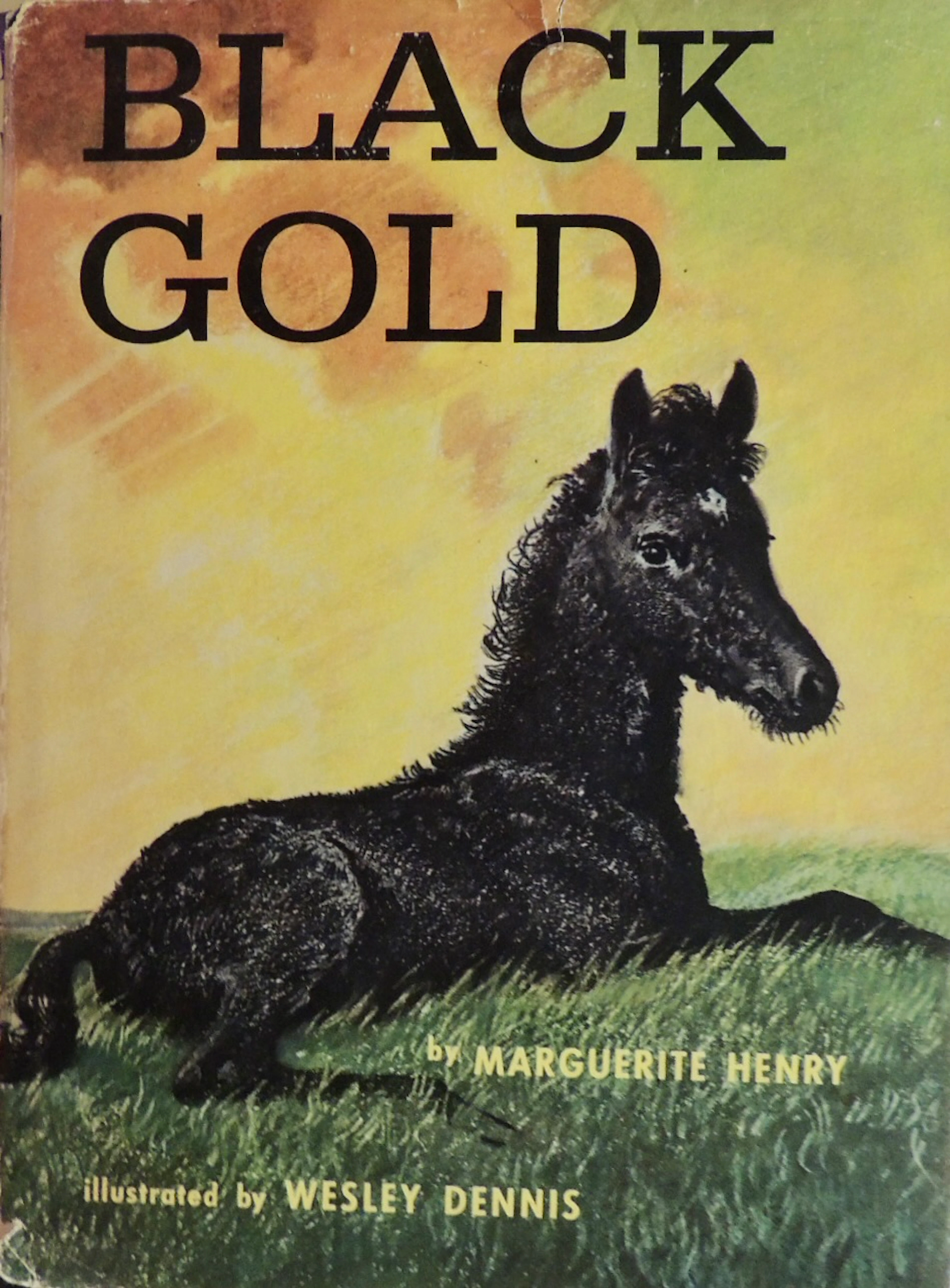 [First Edition] Black Gold Marguerite Henry [Used - Very good] [Hardcover]