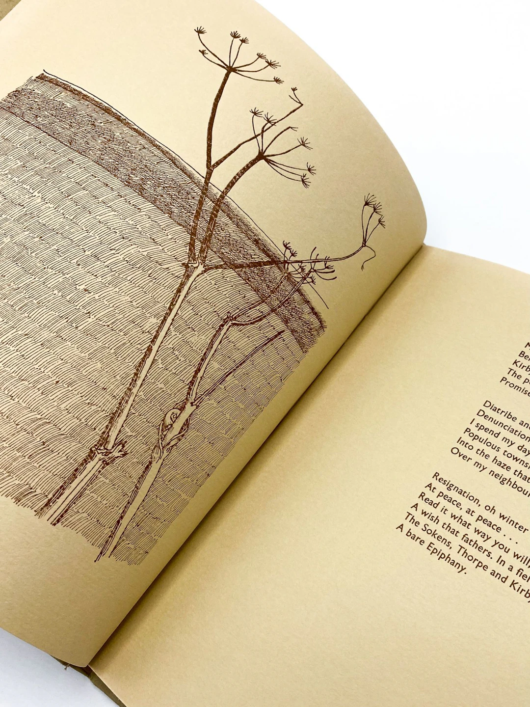 [Signed] [First Edition] ESSEX POEMS