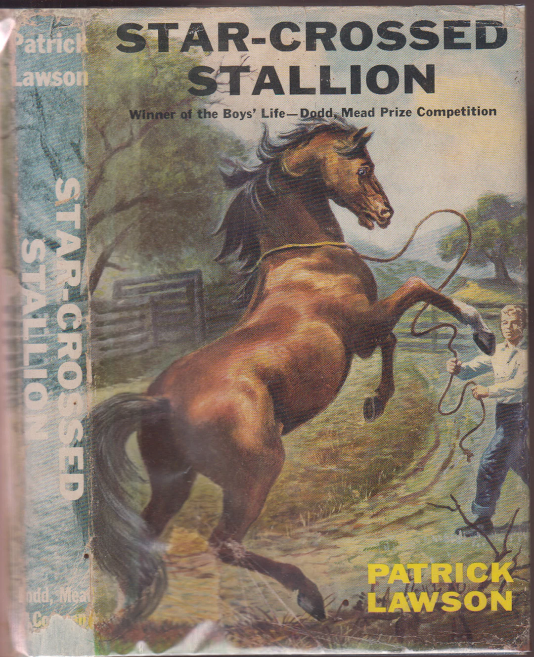 [First Edition] Star-Crossed Stallion Lawson