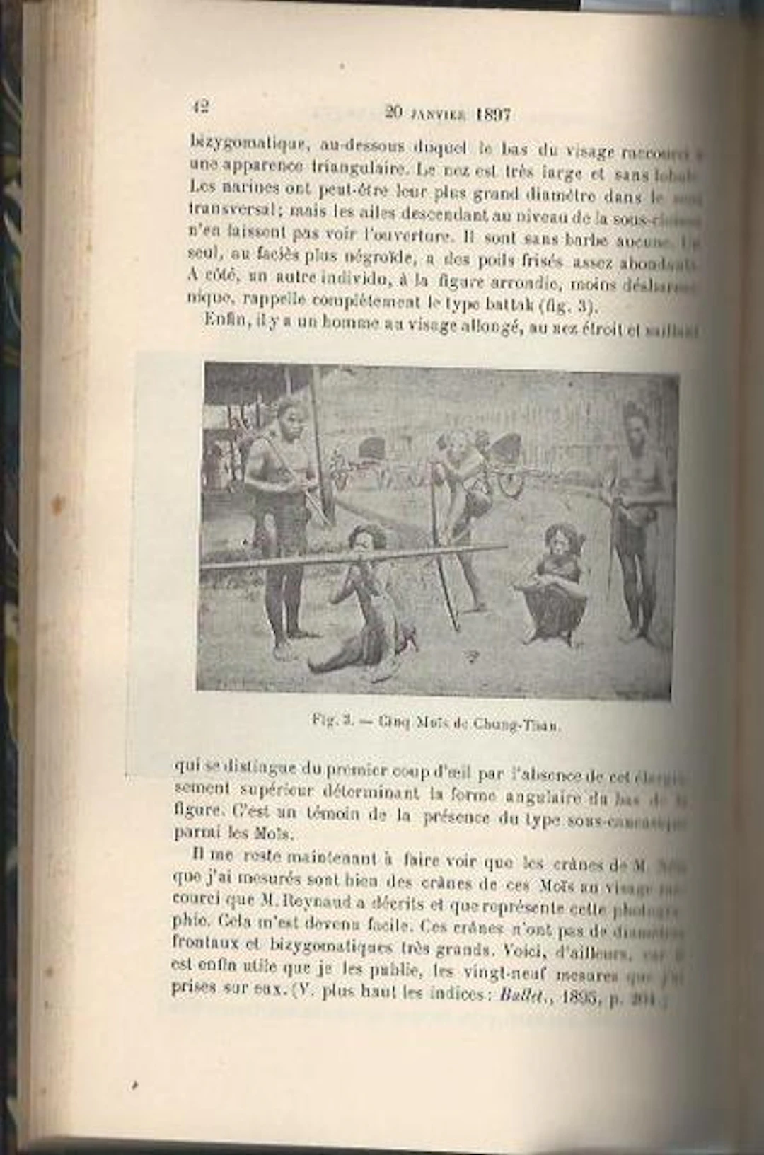 [First Edition] Bulletins de la société d'anthropologie...