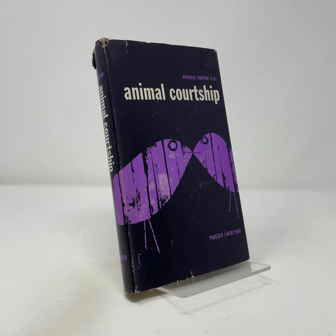 [First Edition] Animal Courtship Maurice Burton [Used - Very good] [Hardcover]