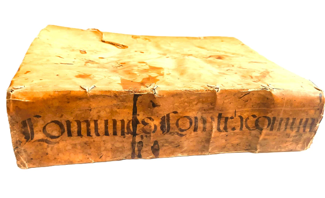 [First Edition] Speculum Practicarum et Variarum...