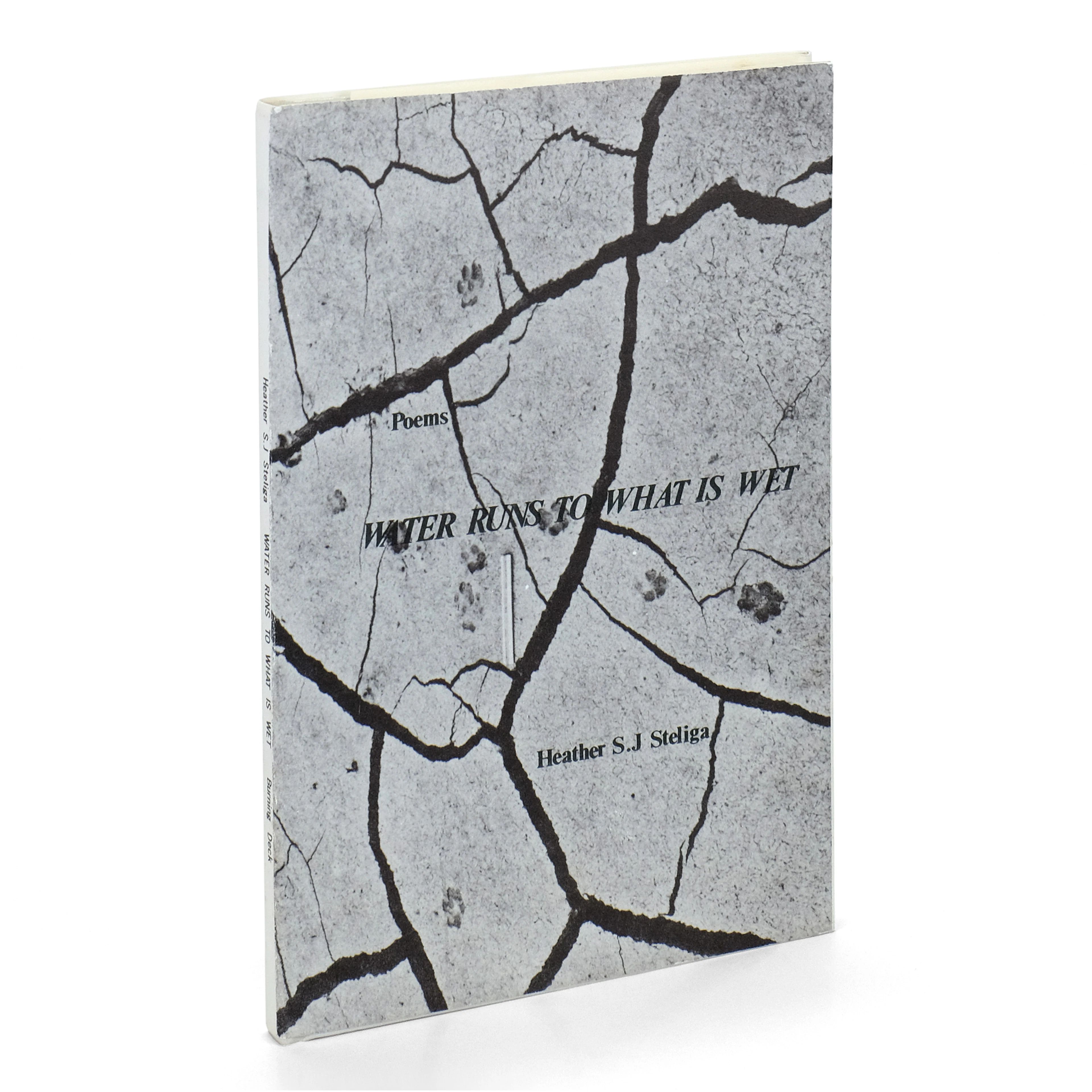 [Signed] [First Edition] Water Runs to What Is Wet [Signed] STELIGA
