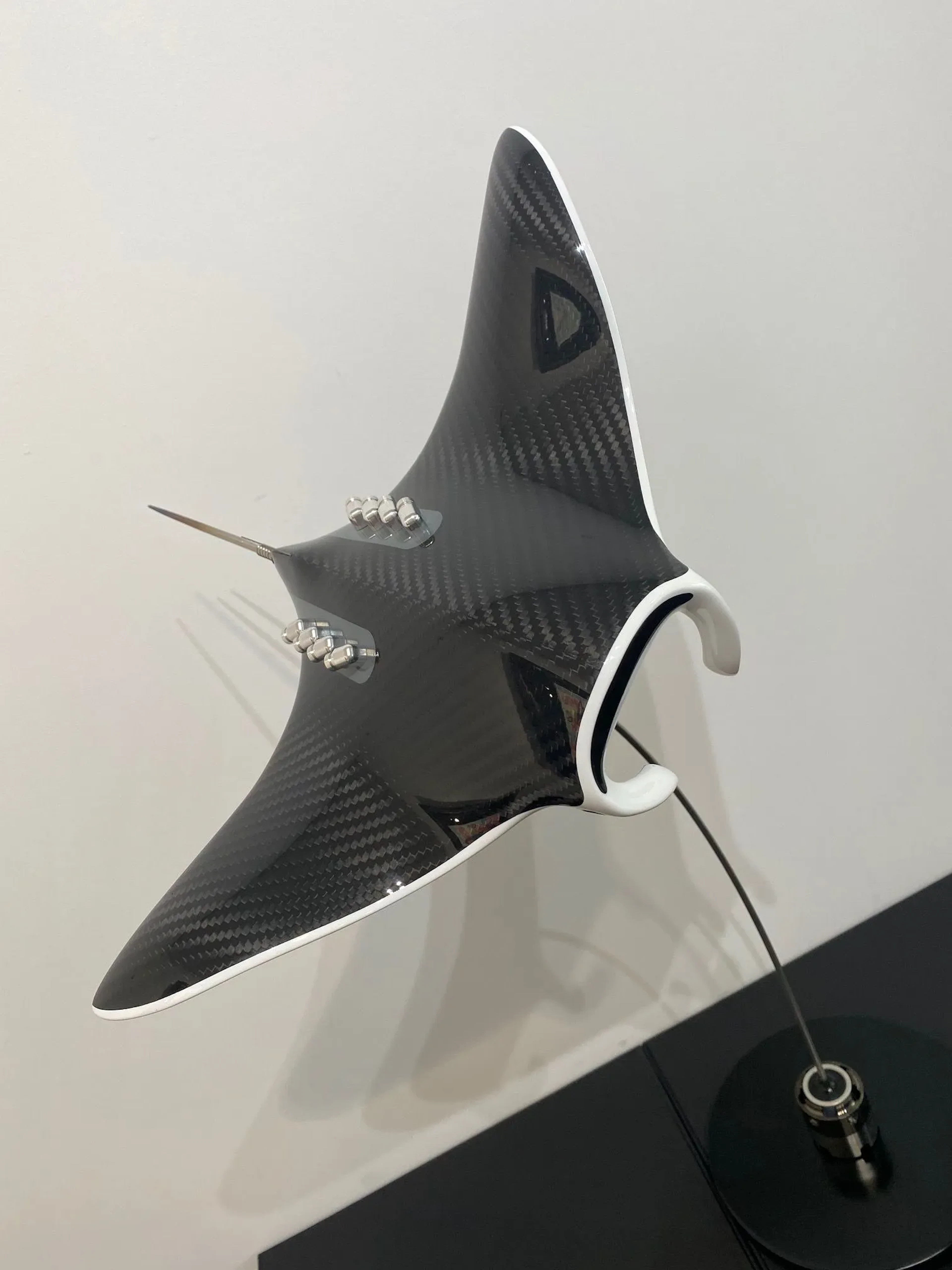 M Manta