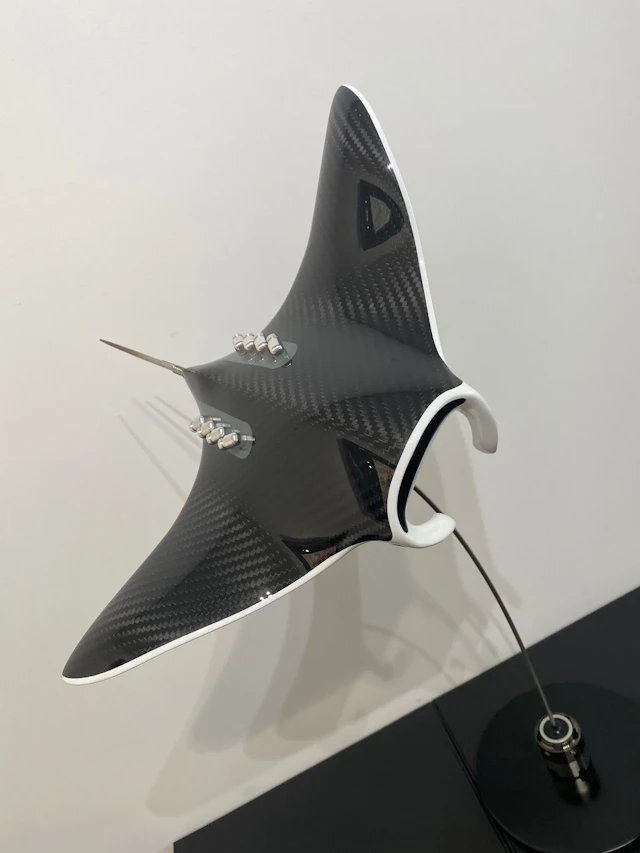 M Manta