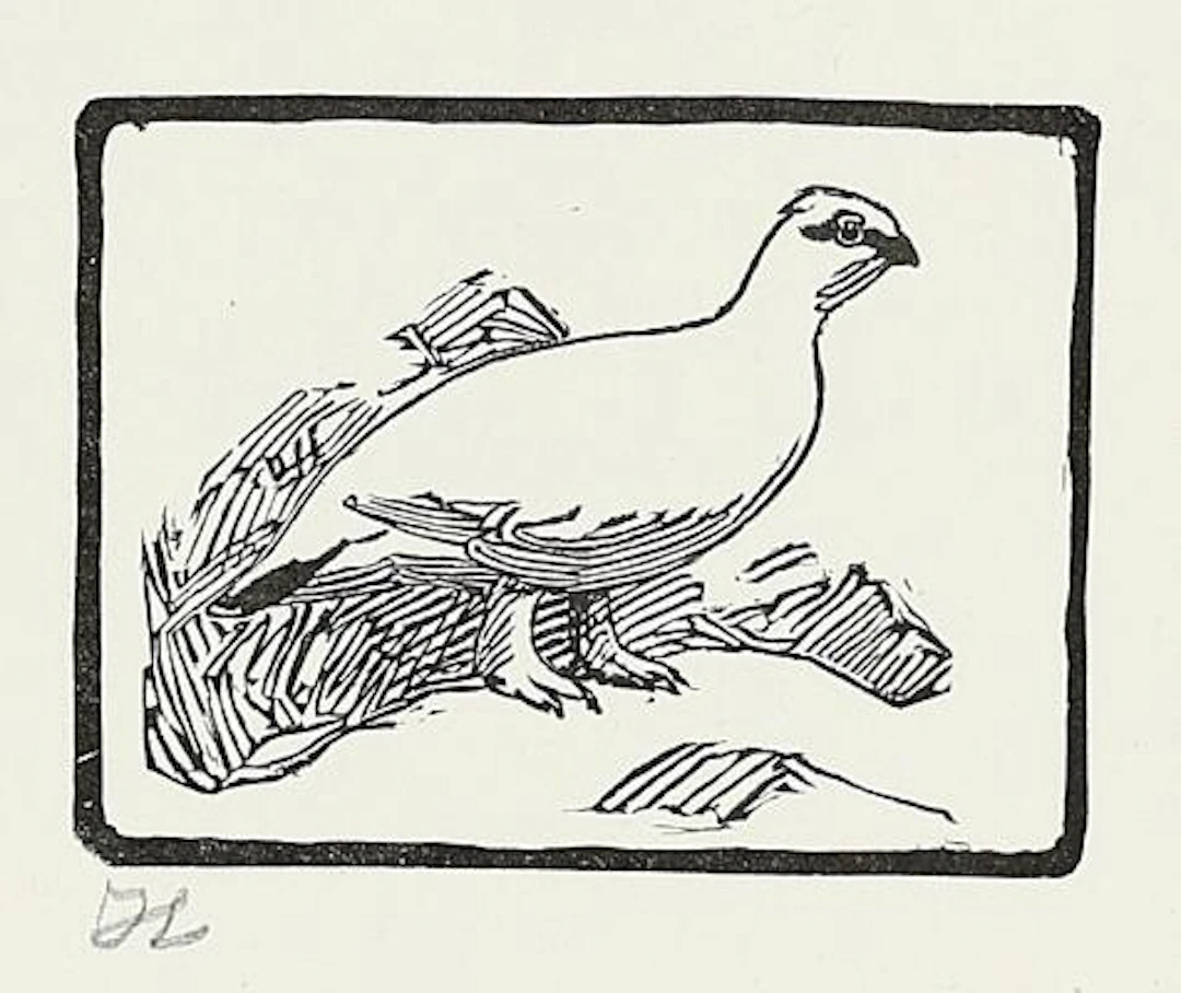 Johannes Larsen: A Grouse. “En Rype”. 1921. Signed with monogram in
