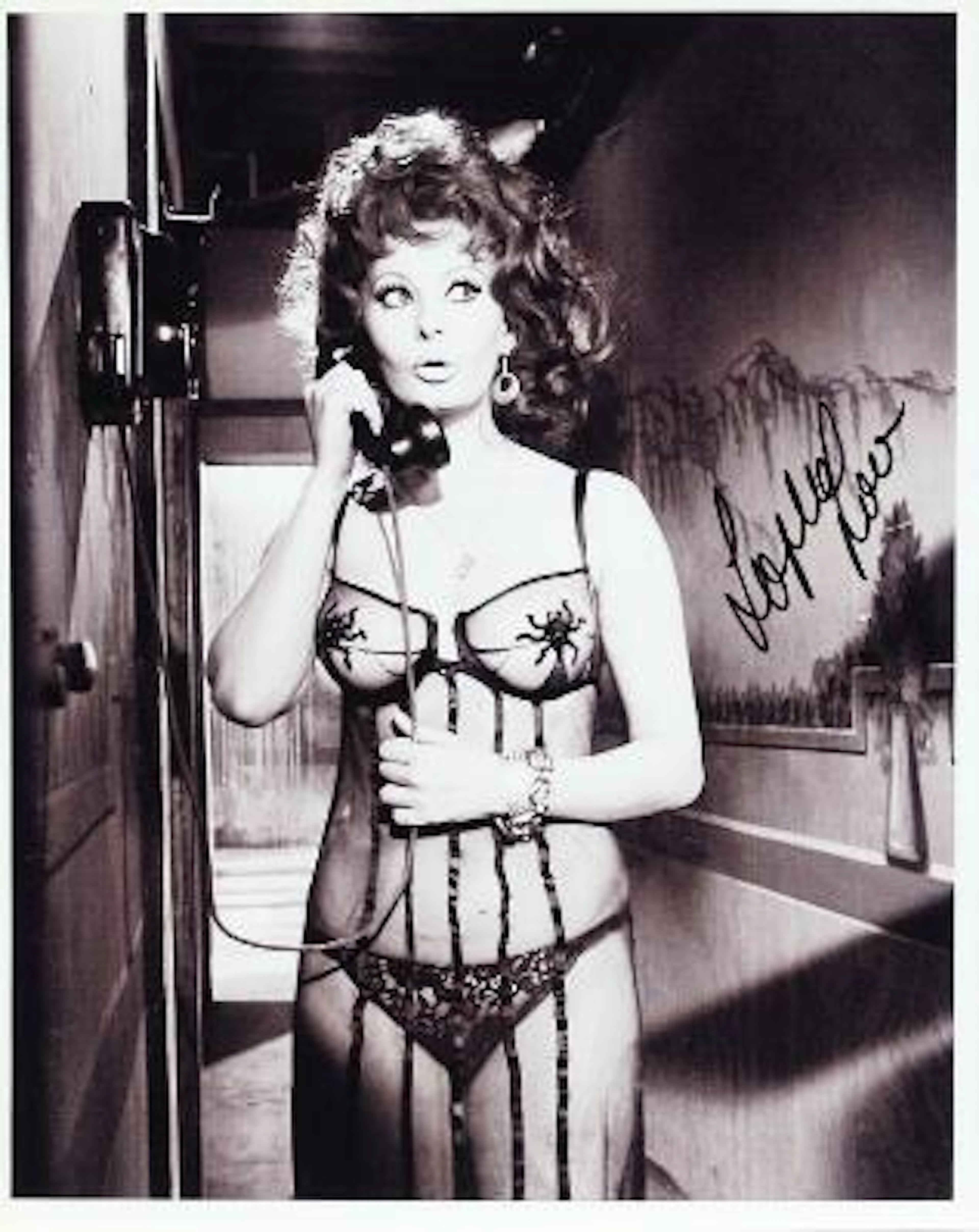 Signed black-and-white still photograph of Italian actress Sophia
