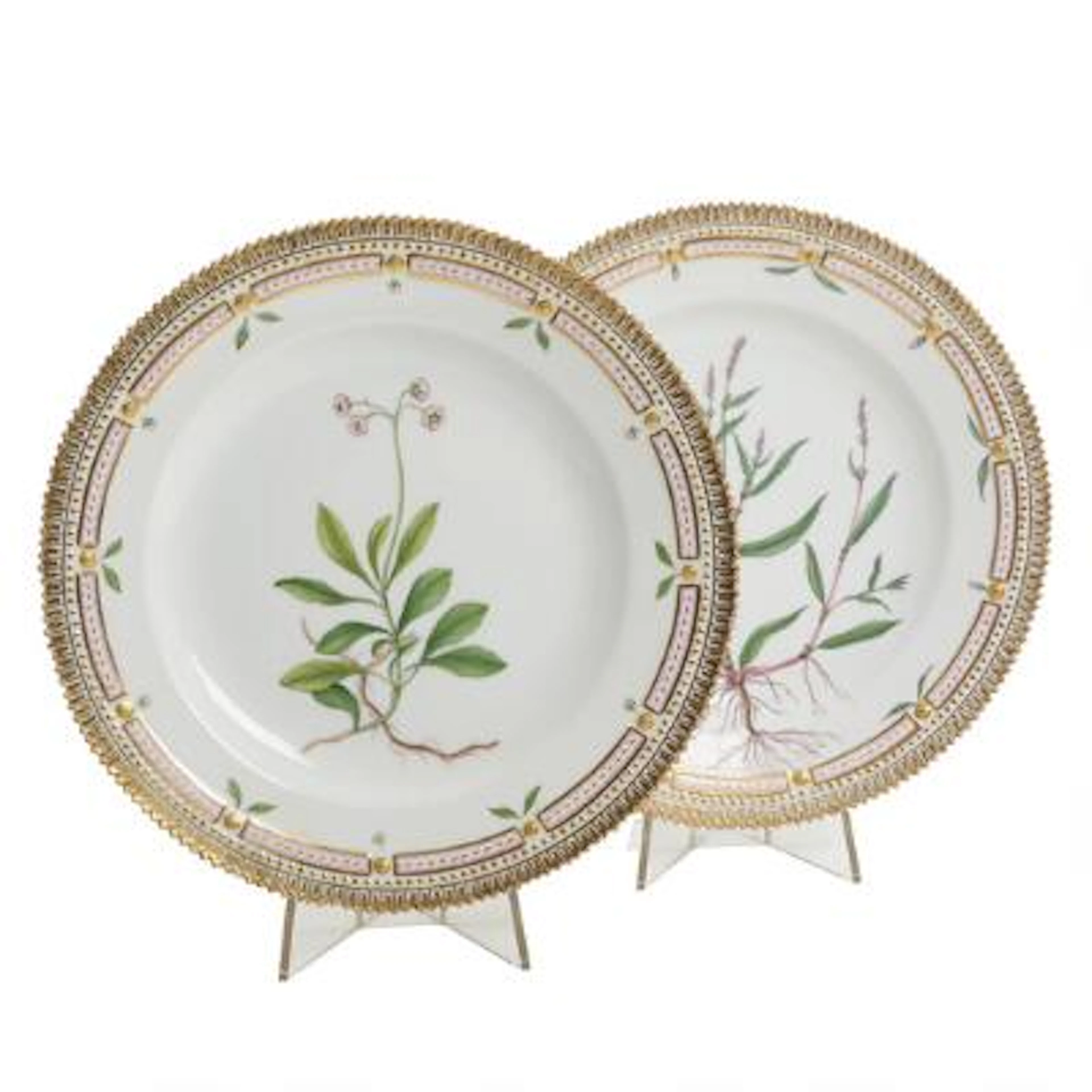 "Flora Danica". Two dinner plates of porcelain, decorated in colours