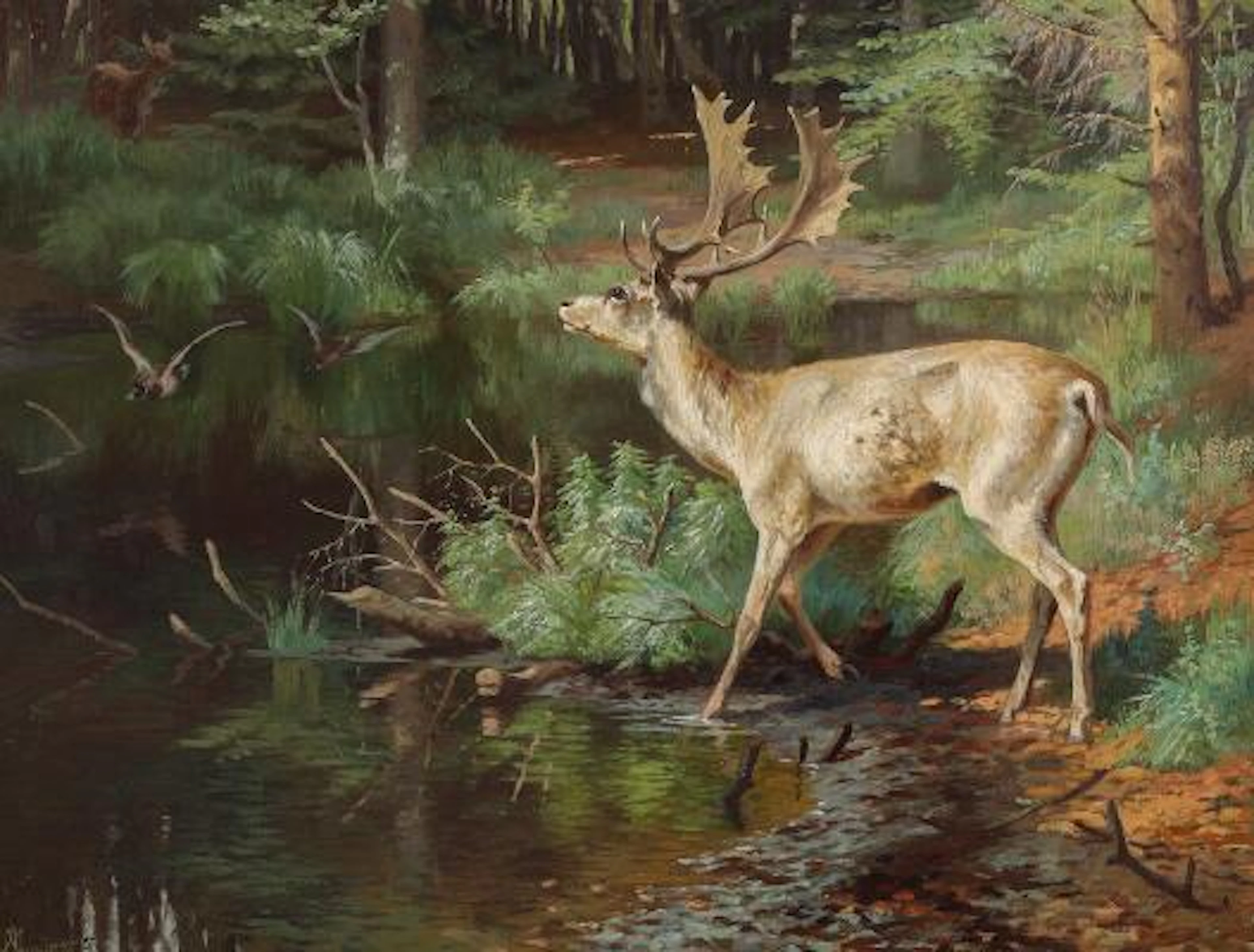 A. Mackeprang: Forest scene with a fallow deer by a forest lake. Signed