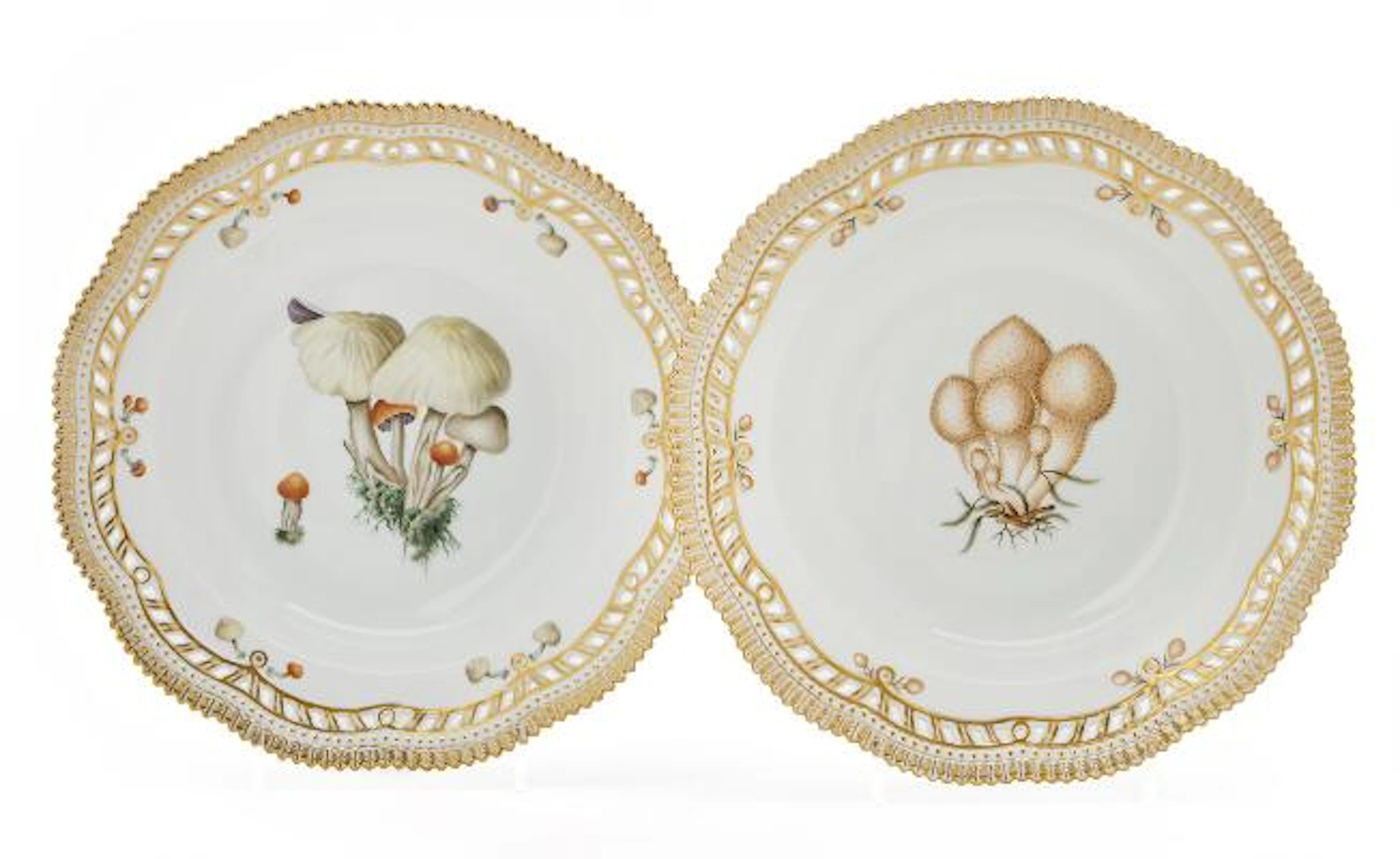 "Flora Danica Fungi" Two deep plates decorated in colours and gold