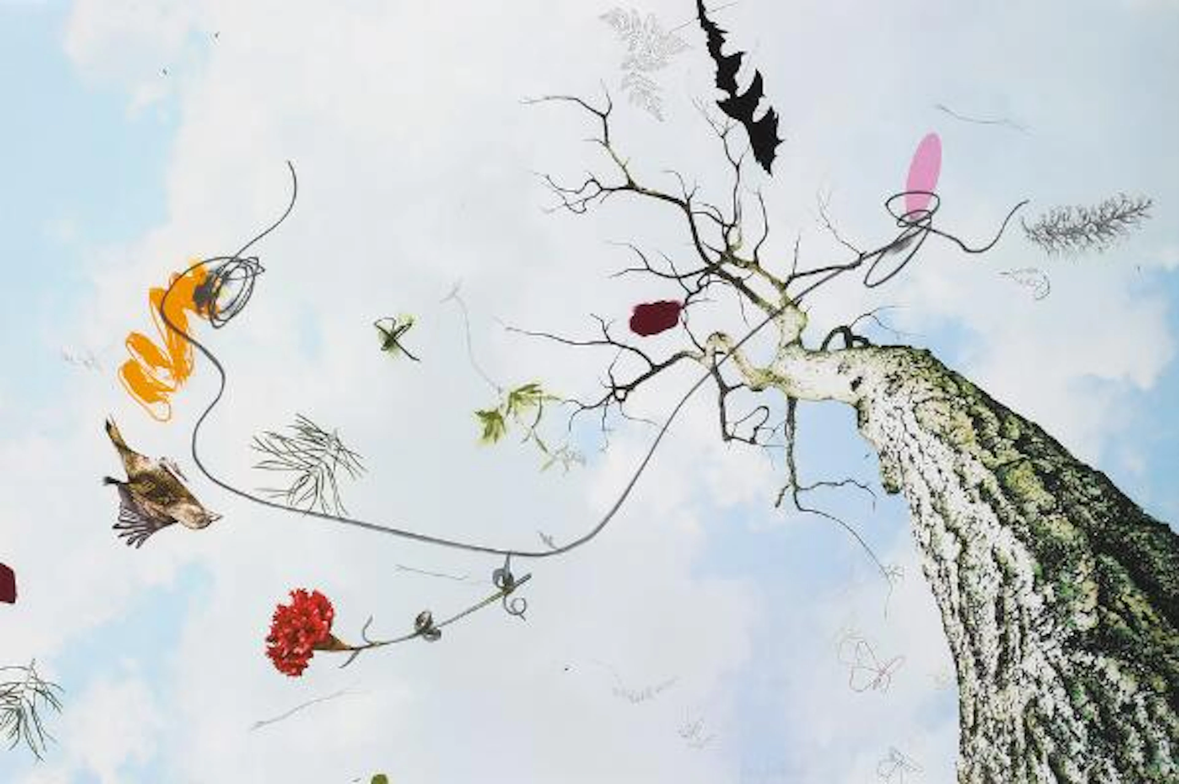 Benny Dröscher: "Another Sky Un-learned (Fir)". Signed Benny Dröscher