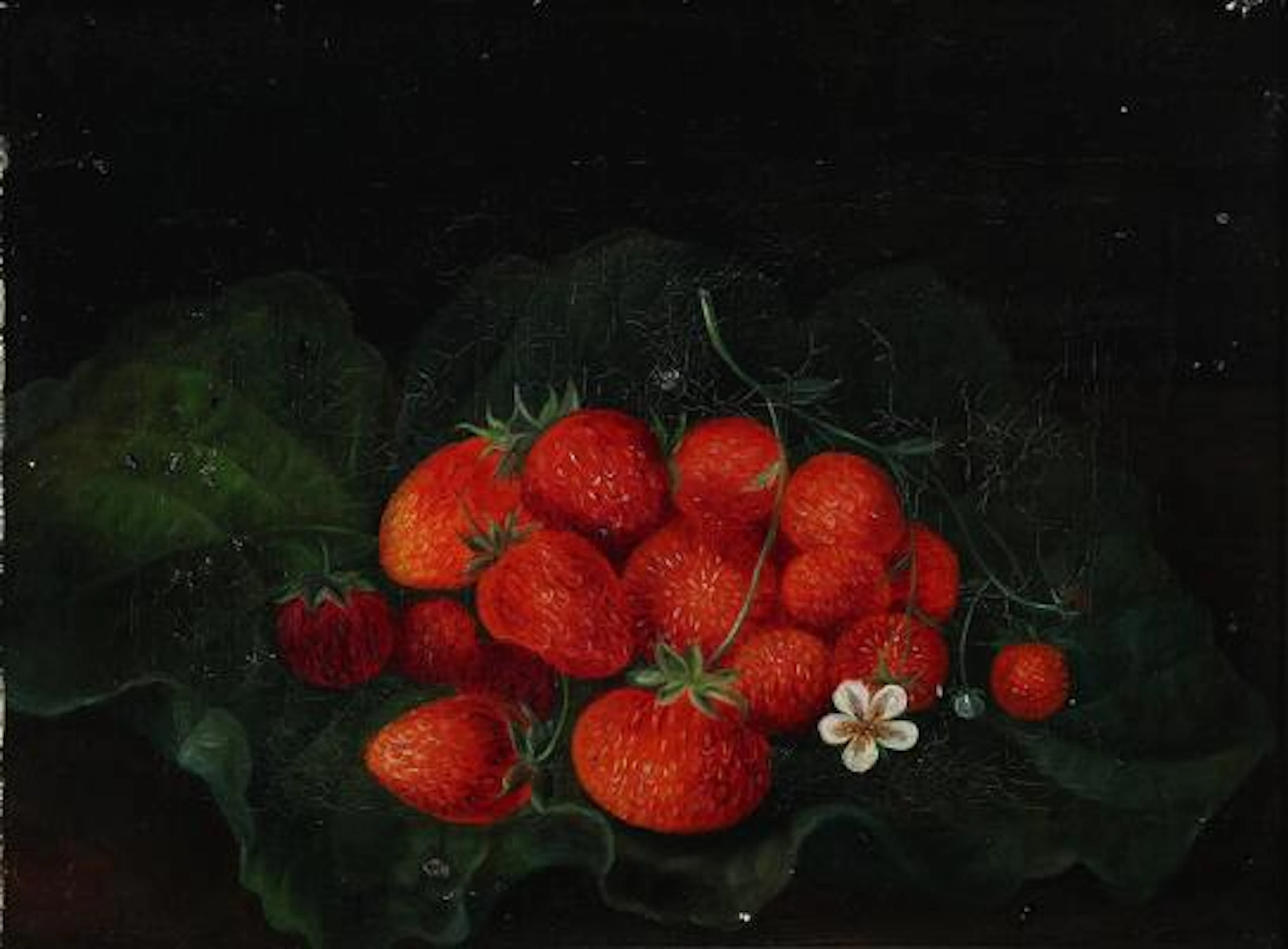 Danish painter, 19th century: Still life with strawberries in a rhubarb