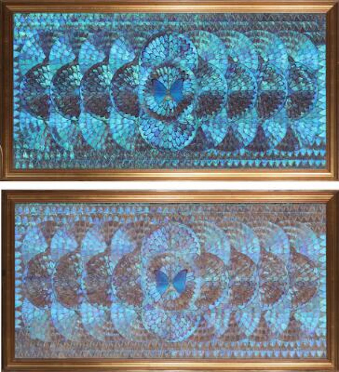 Unknown artist, 20th century: A pair of collages made from butterfly