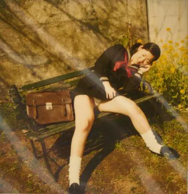 Nobuyoshi Araki: Untitled. Signed Araki. Polaroid in colours. Sheet