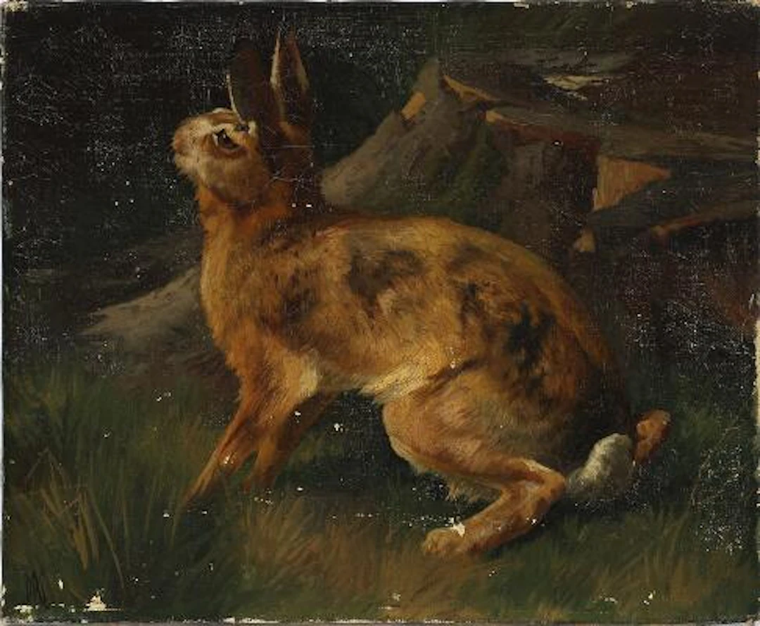 A. Mackeprang: A hare in a woodland floor by a tree stump. Signed