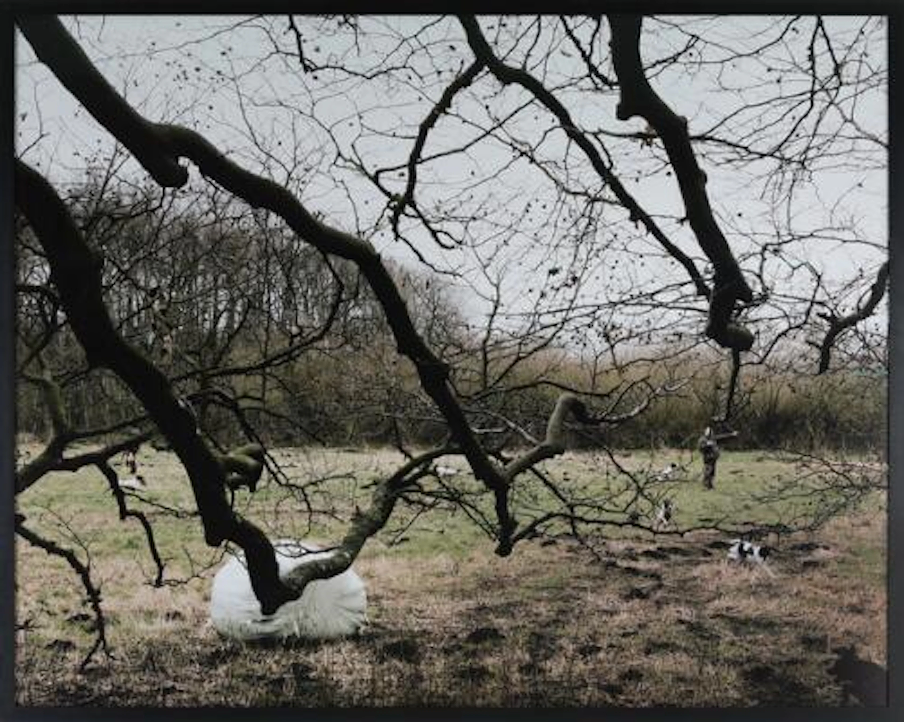 Nicolai Howalt, Trine Søndergaard: "Vidderne" from the series "How